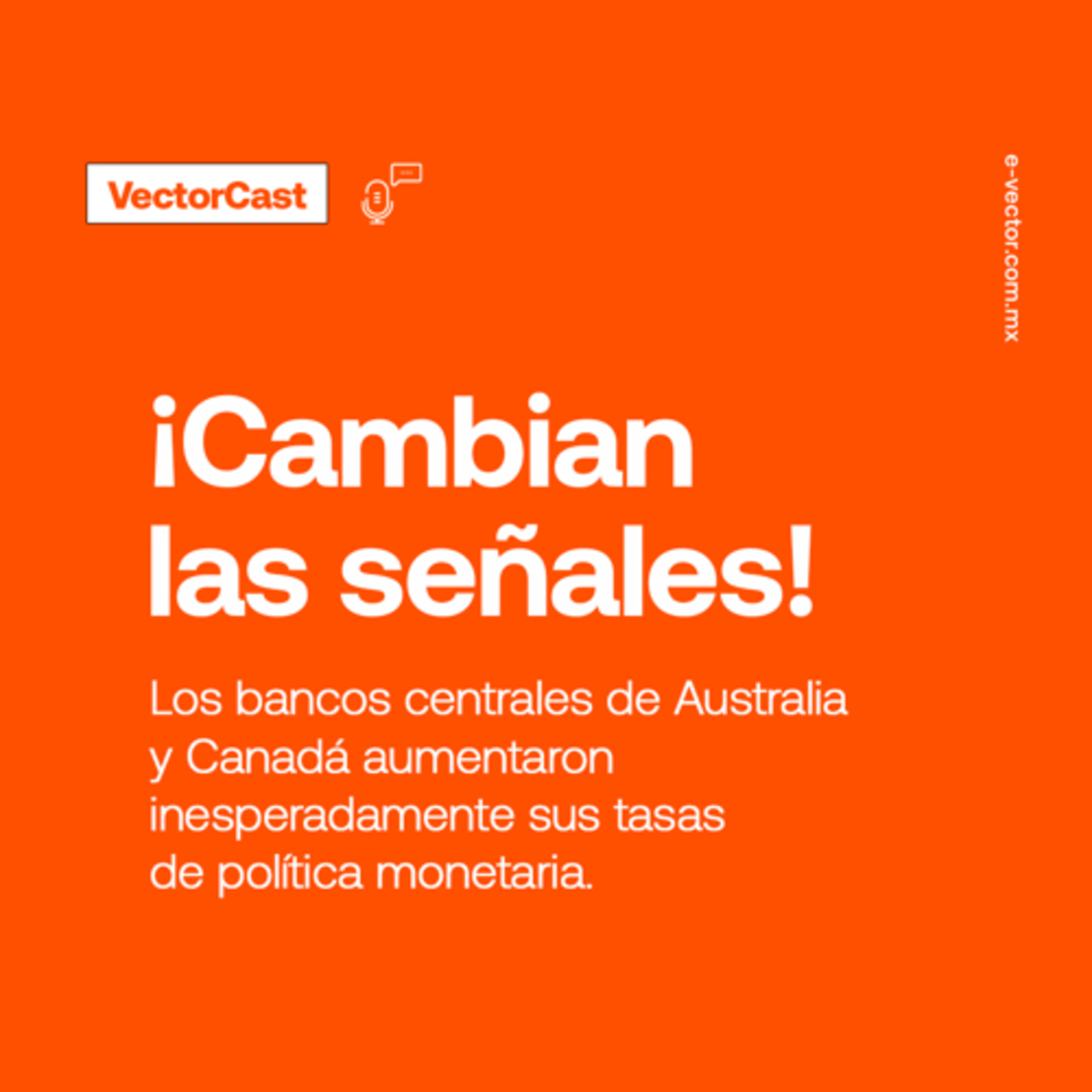 VectorCast