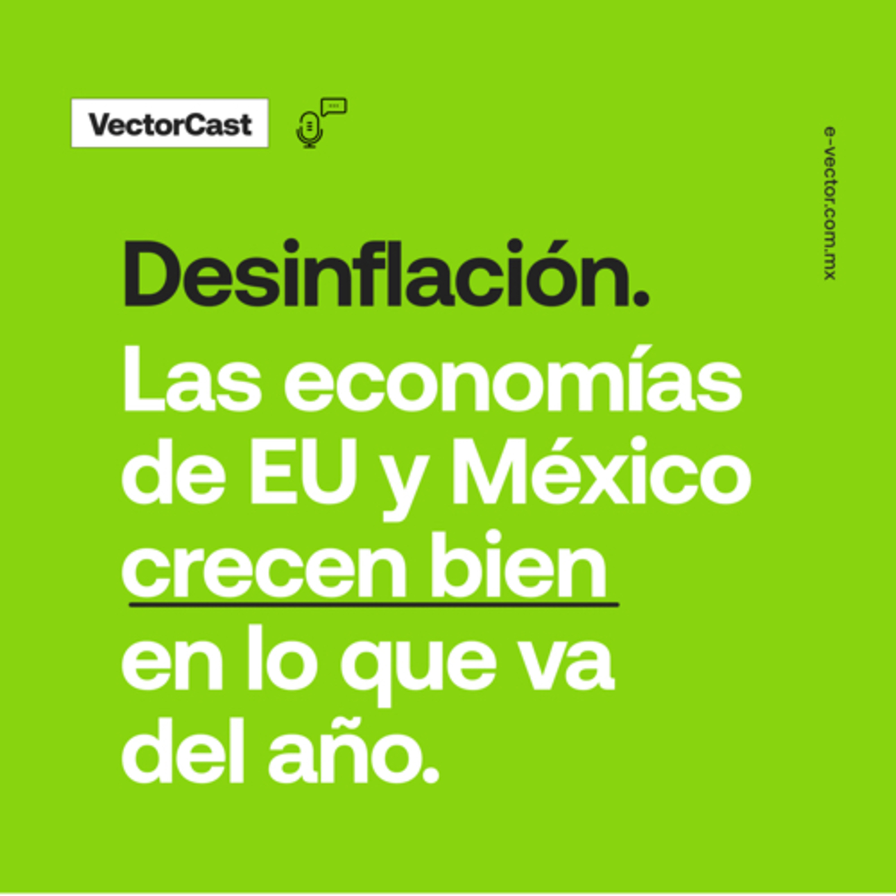 VectorCast