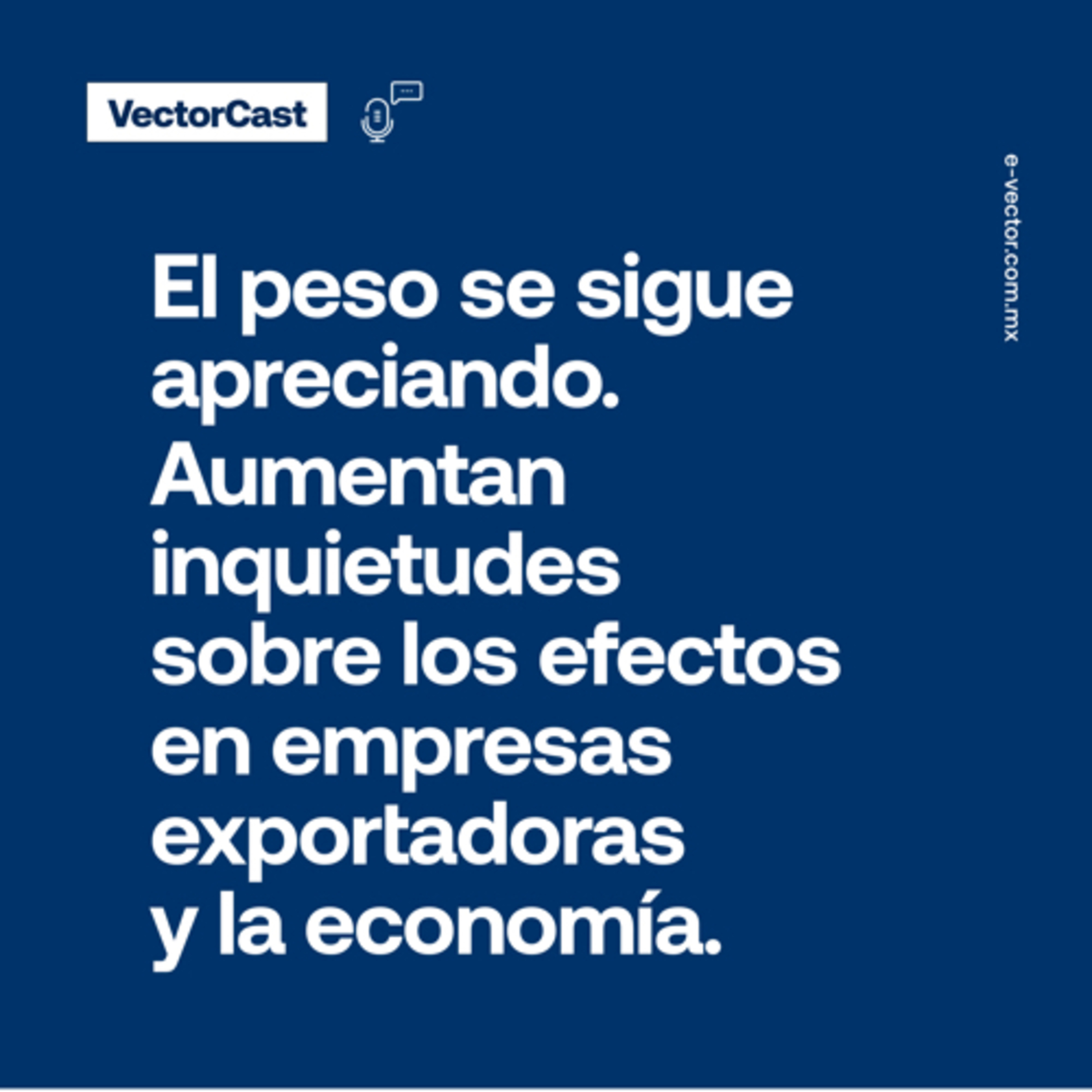 VectorCast