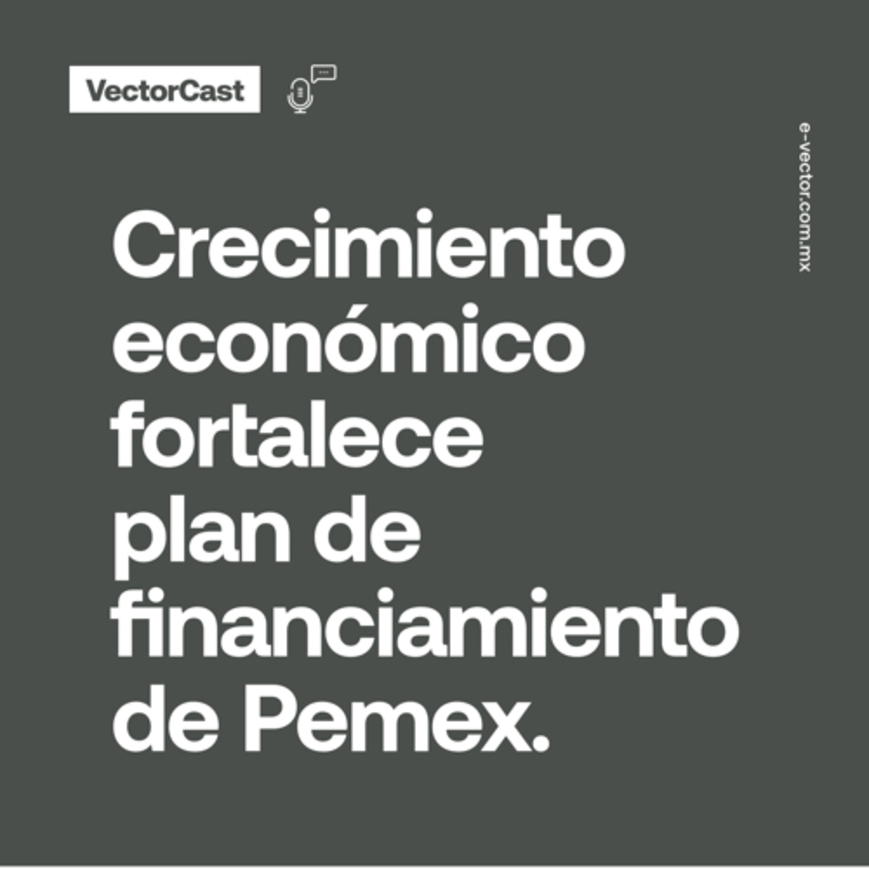 VectorCast