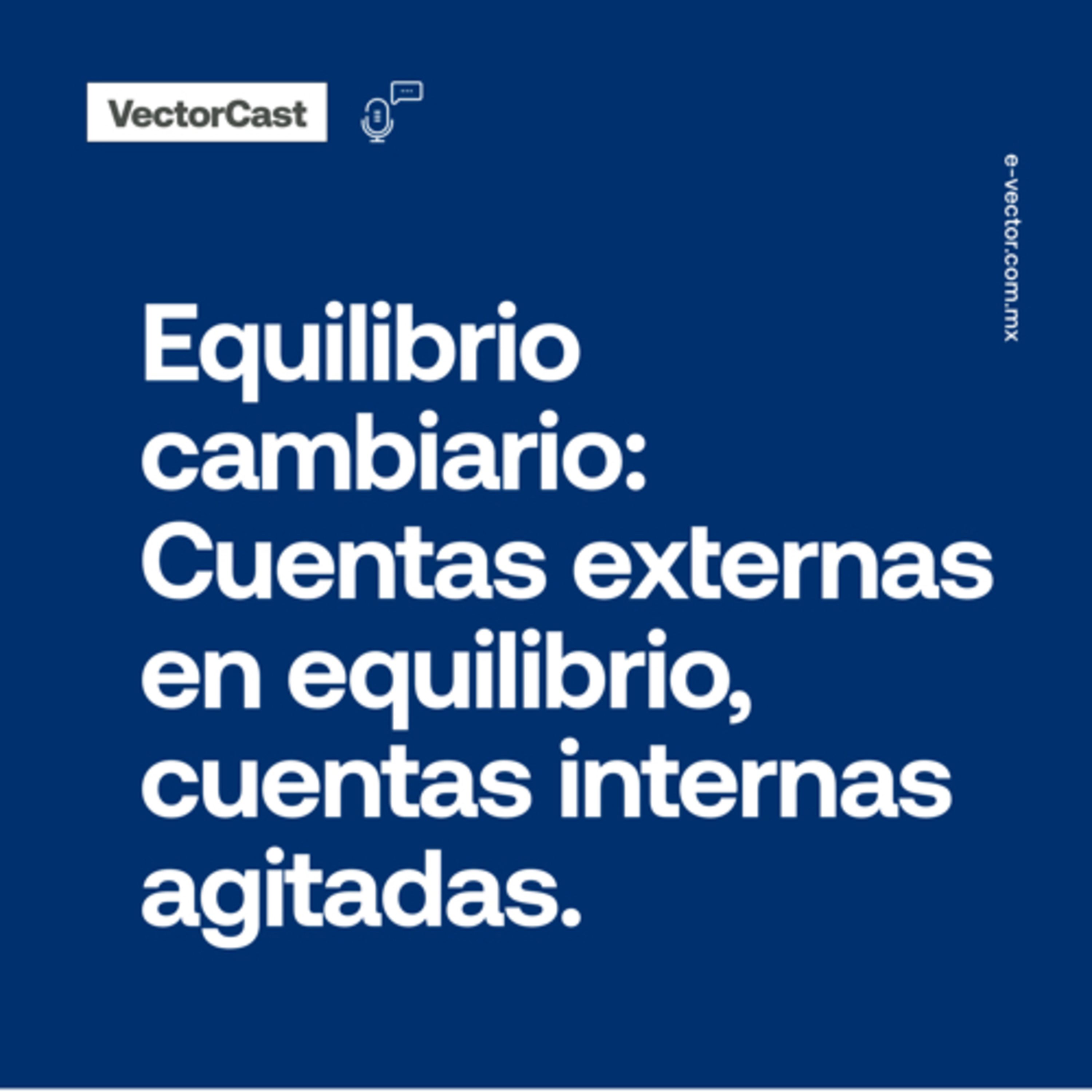 VectorCast