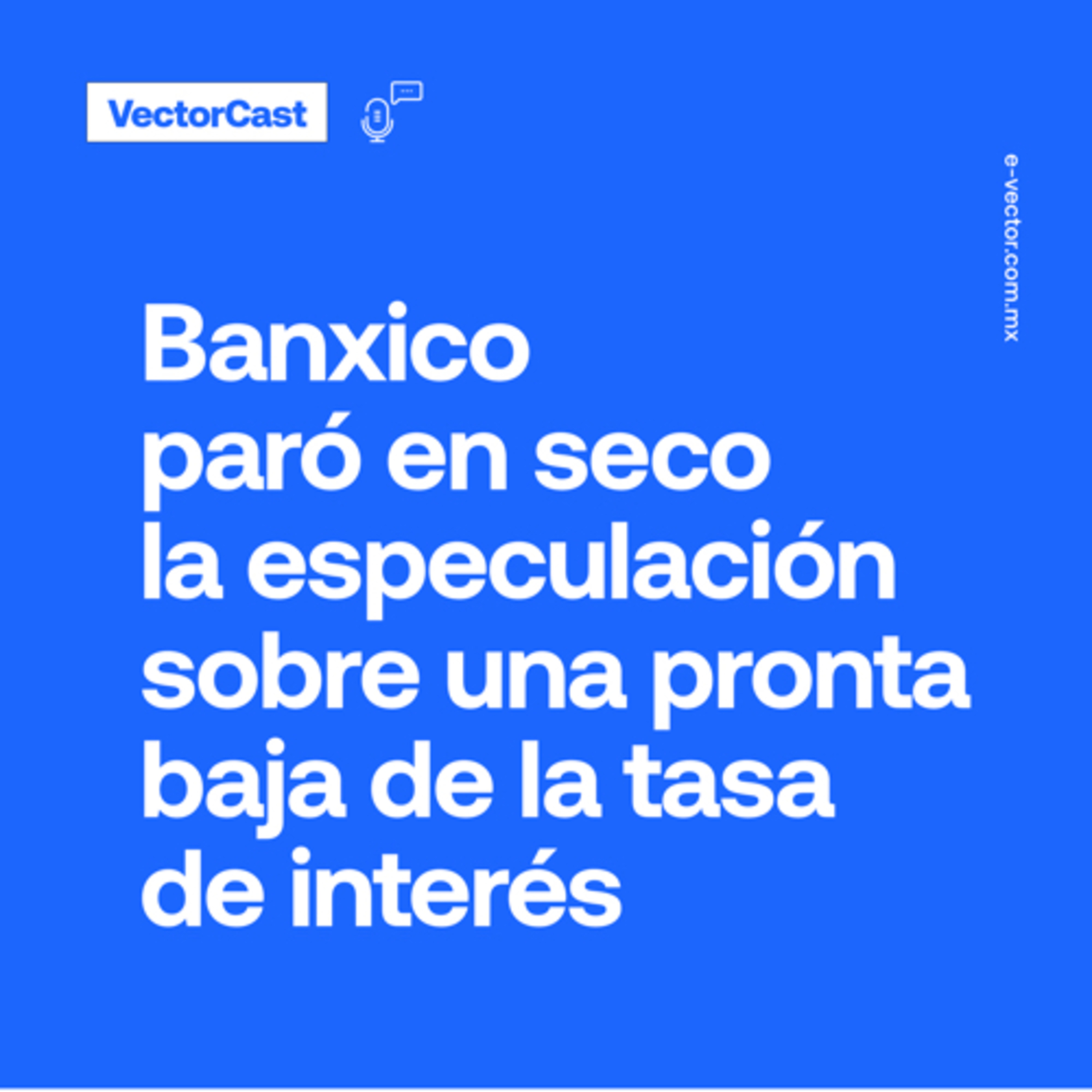 VectorCast