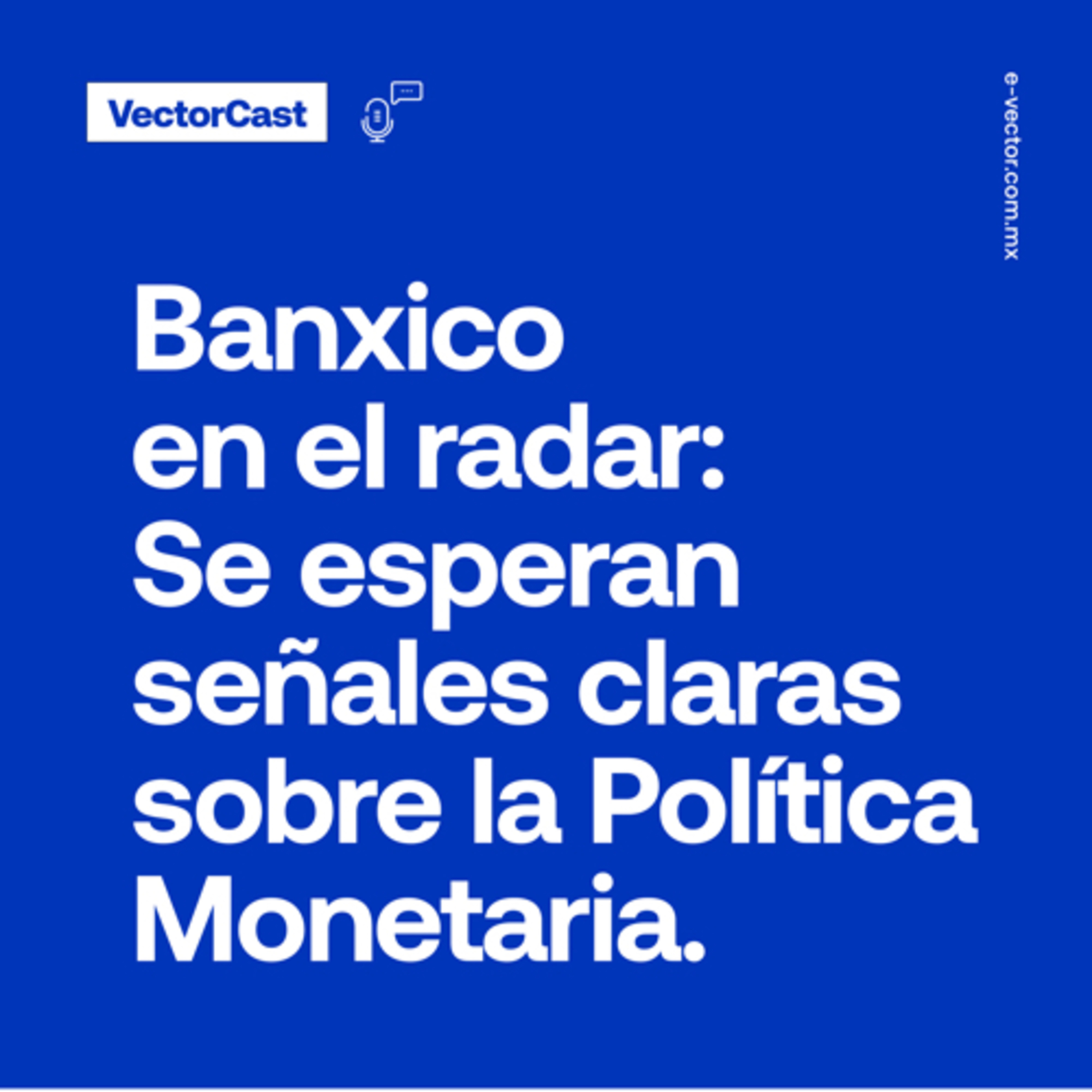VectorCast