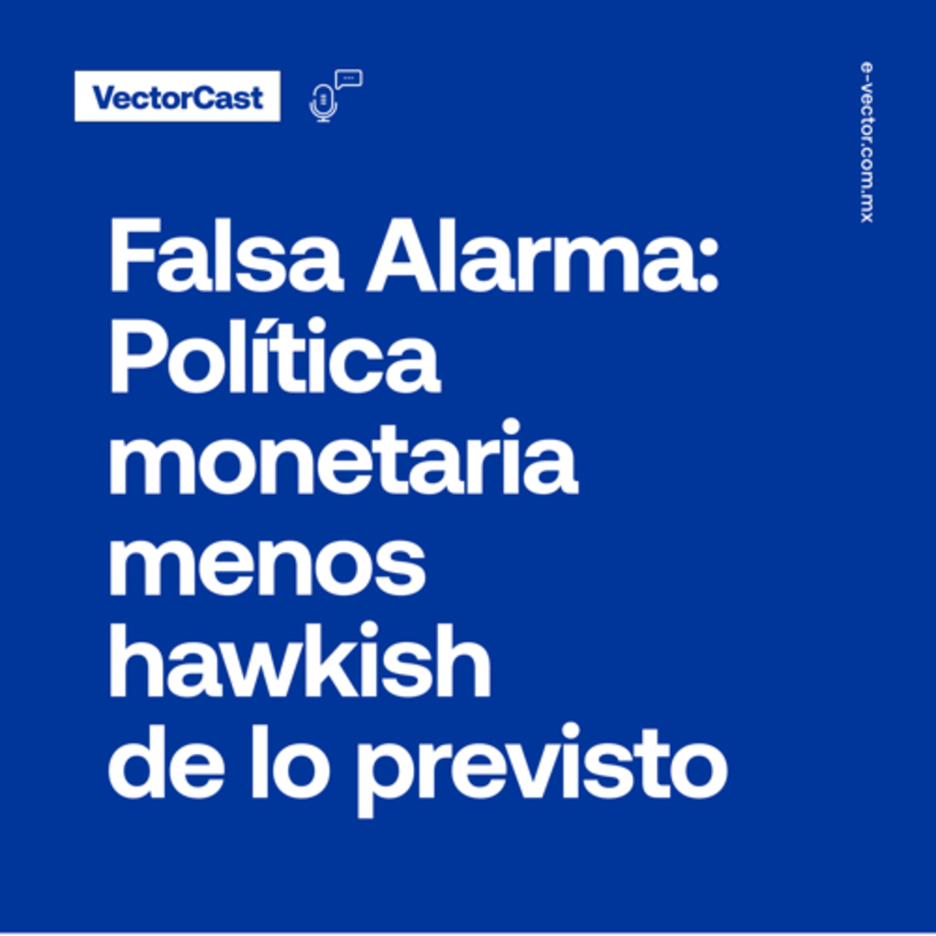 VectorCast