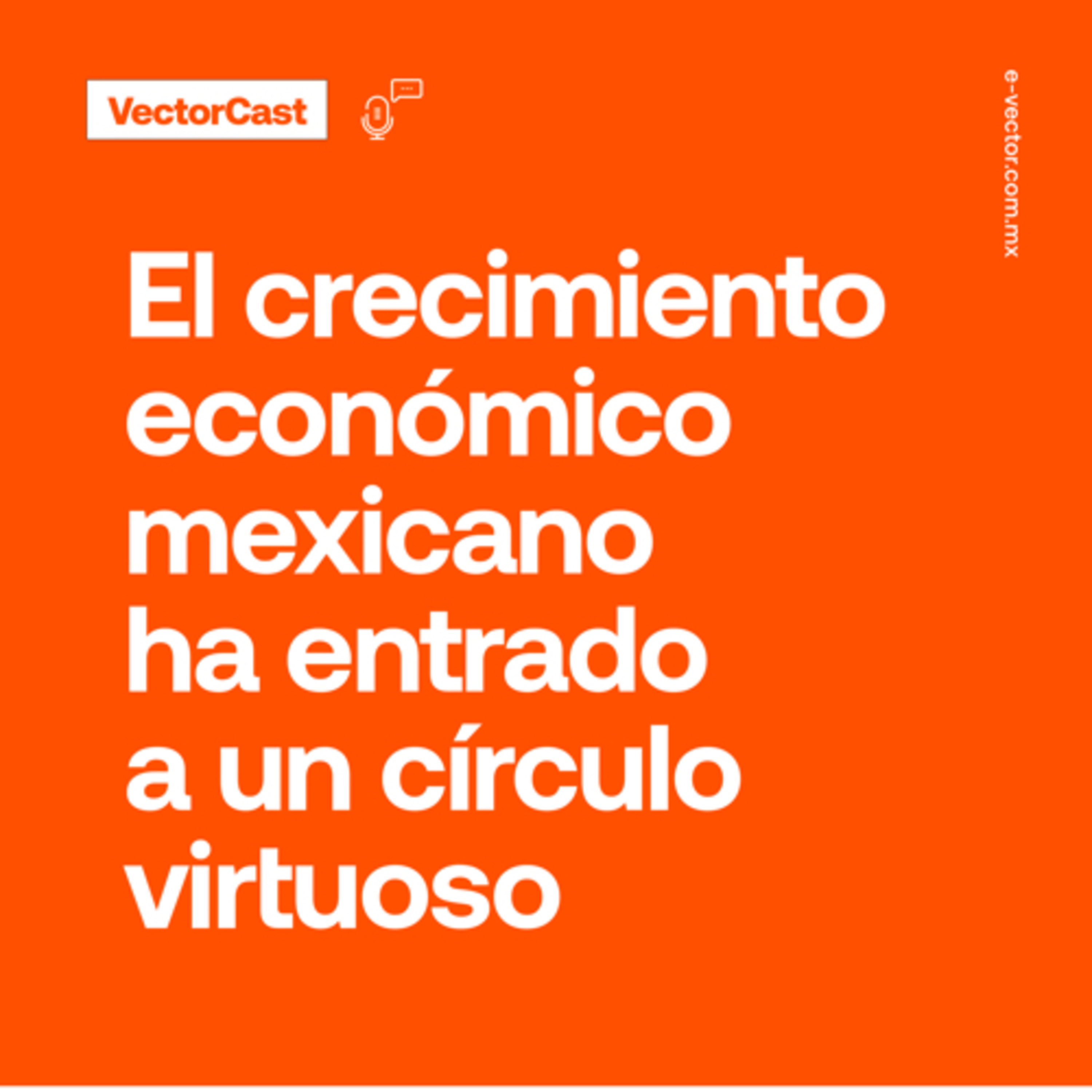 VectorCast
