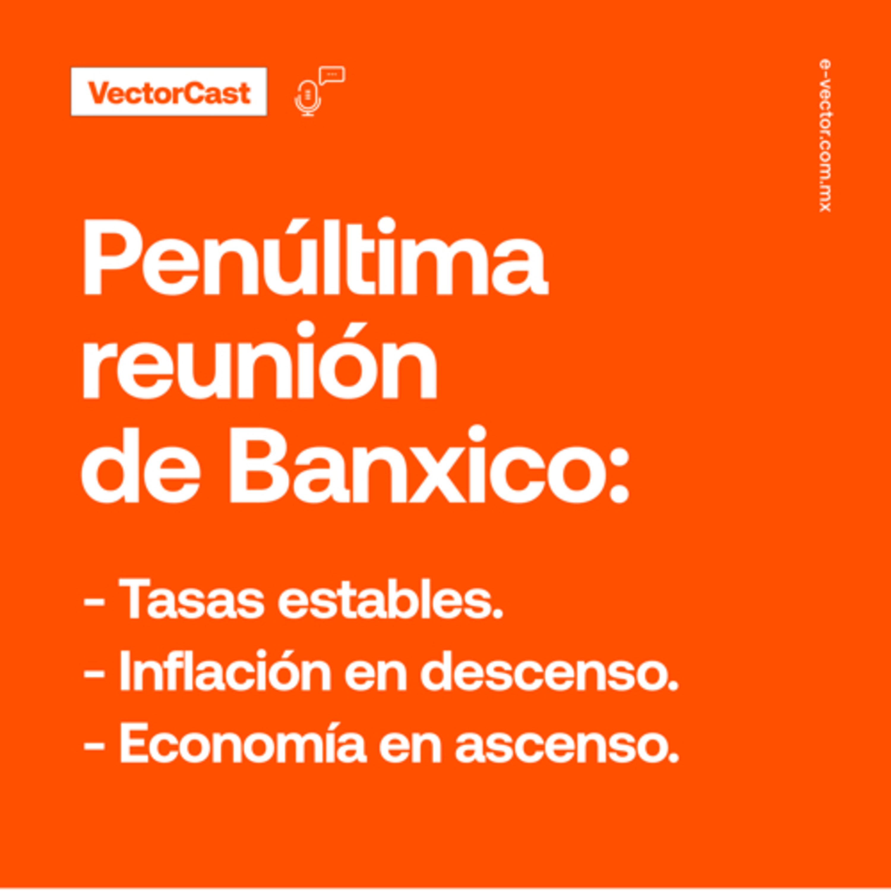 VectorCast