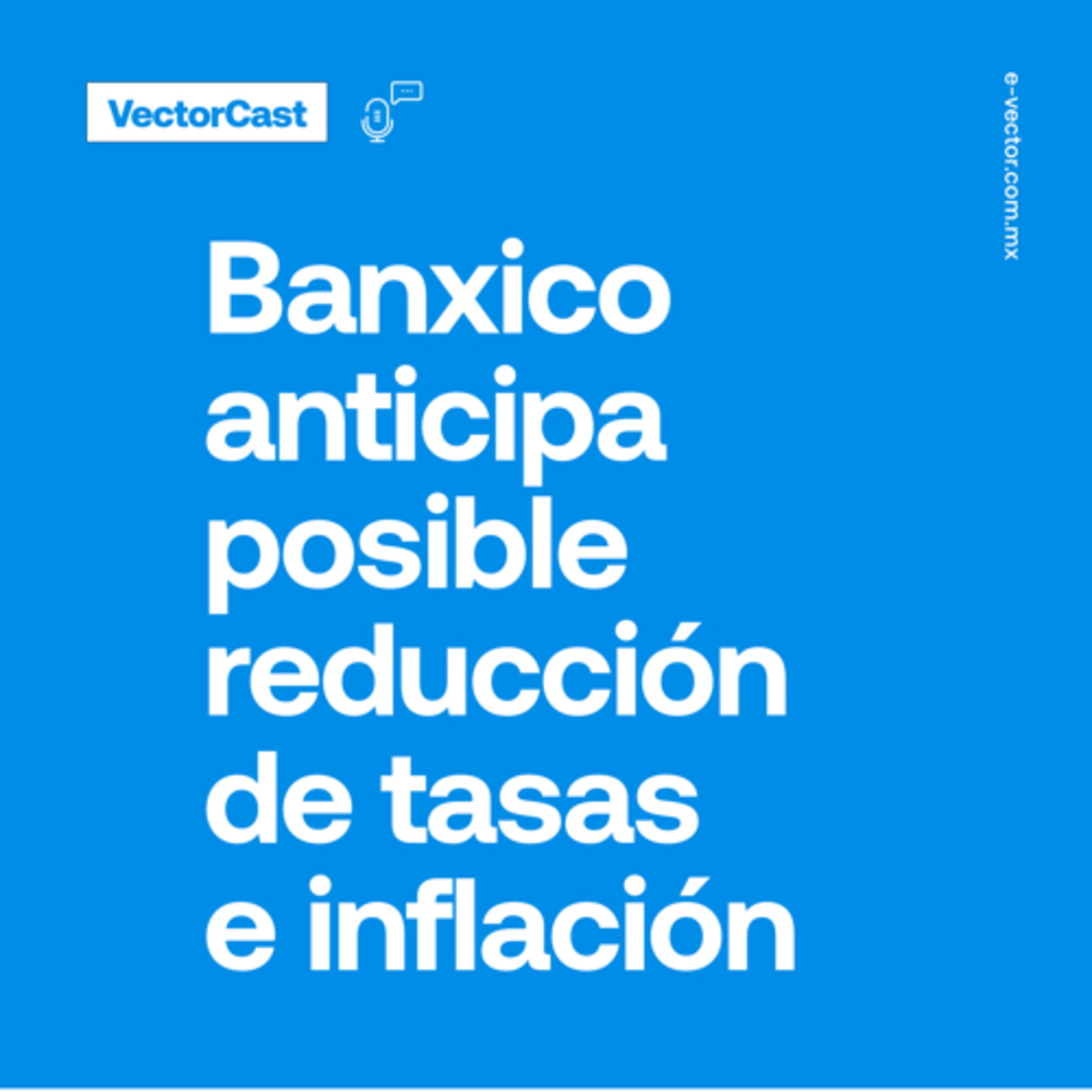 VectorCast