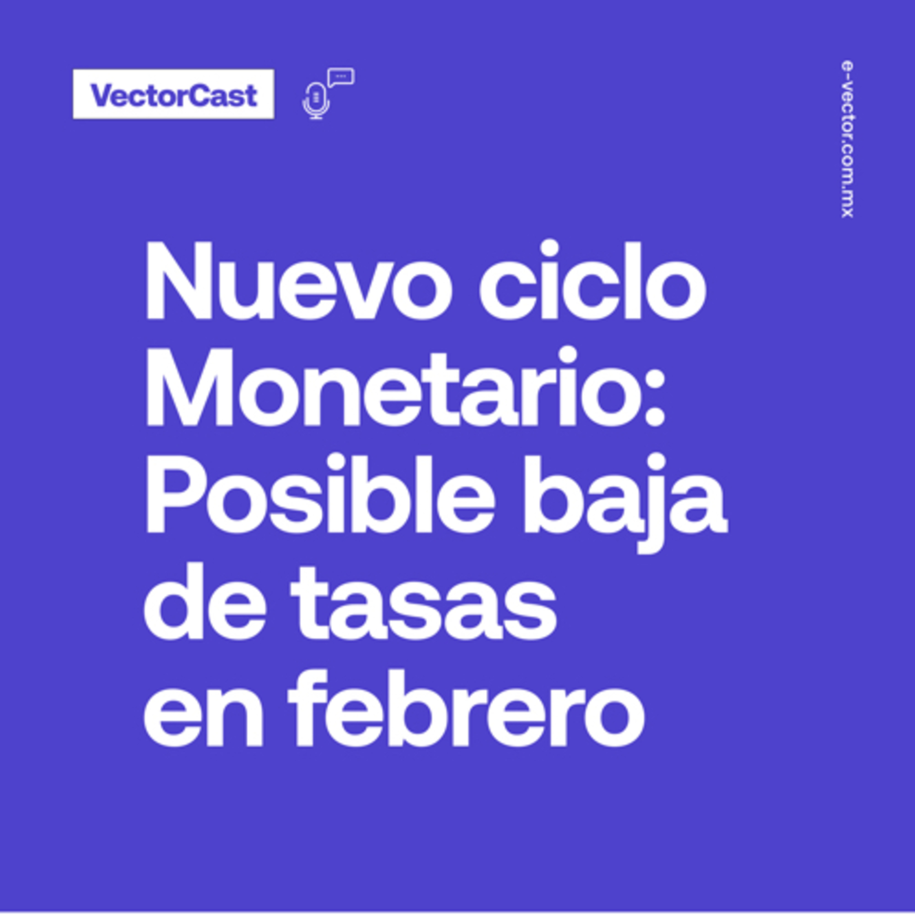 VectorCast