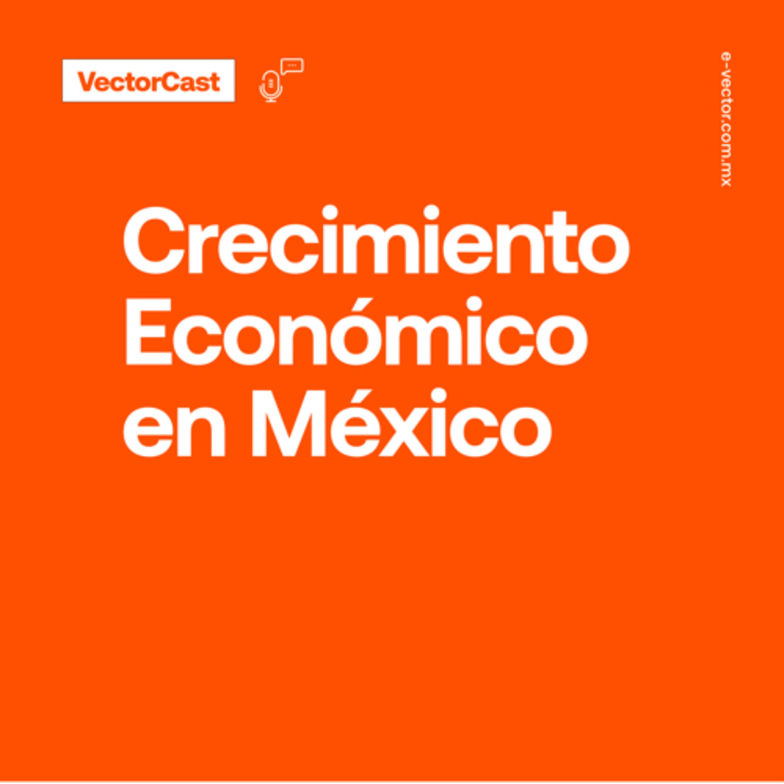 VectorCast
