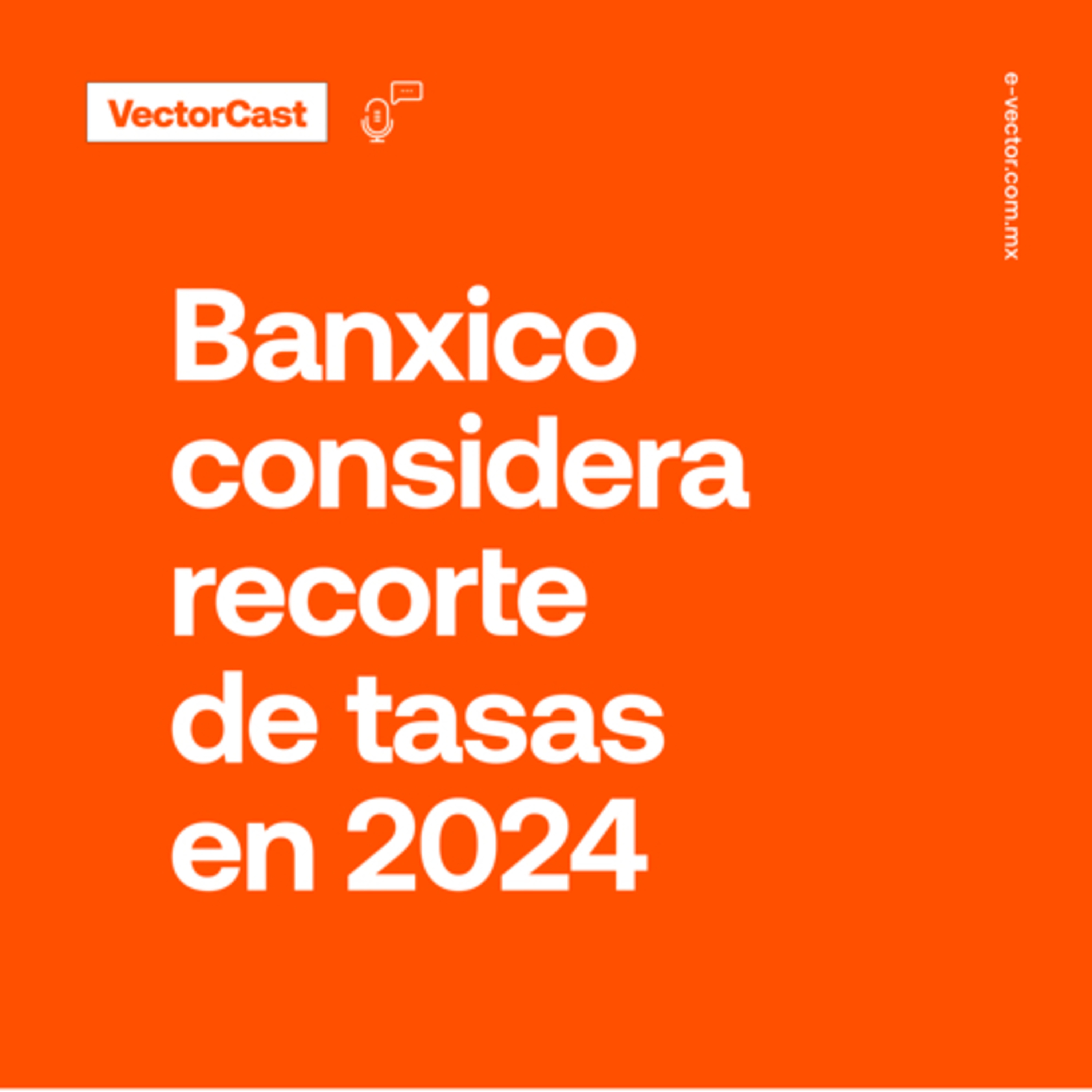 VectorCast