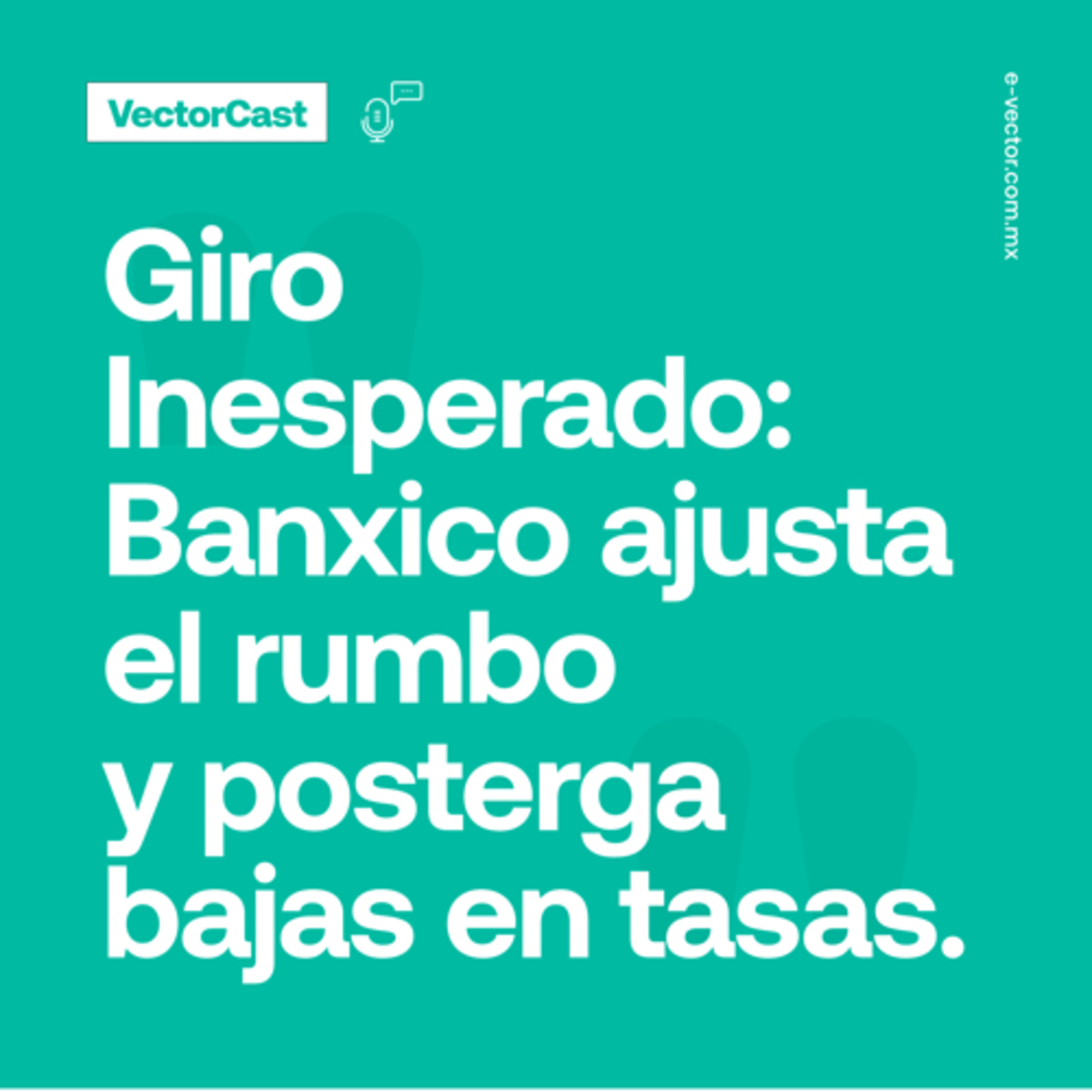 VectorCast