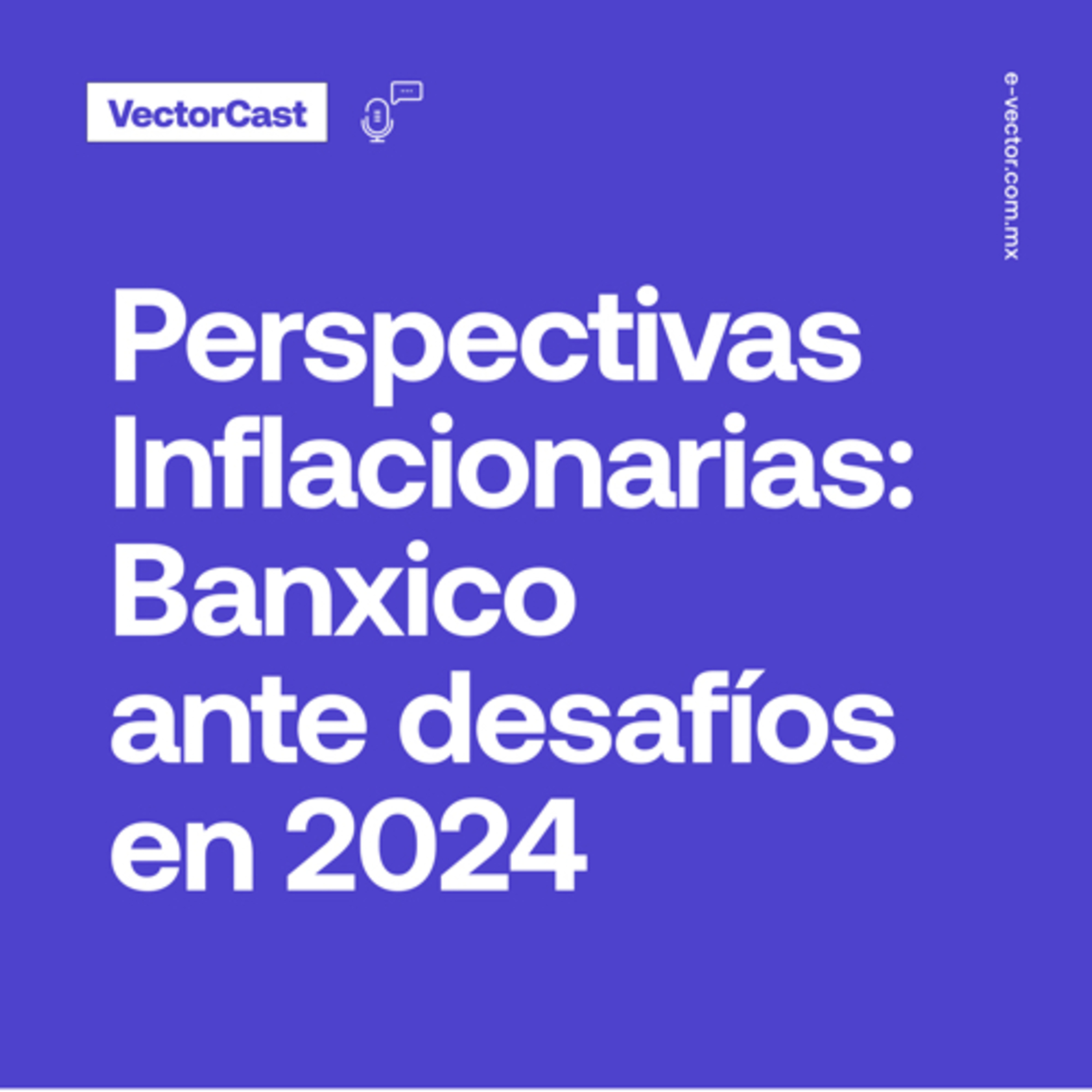 VectorCast