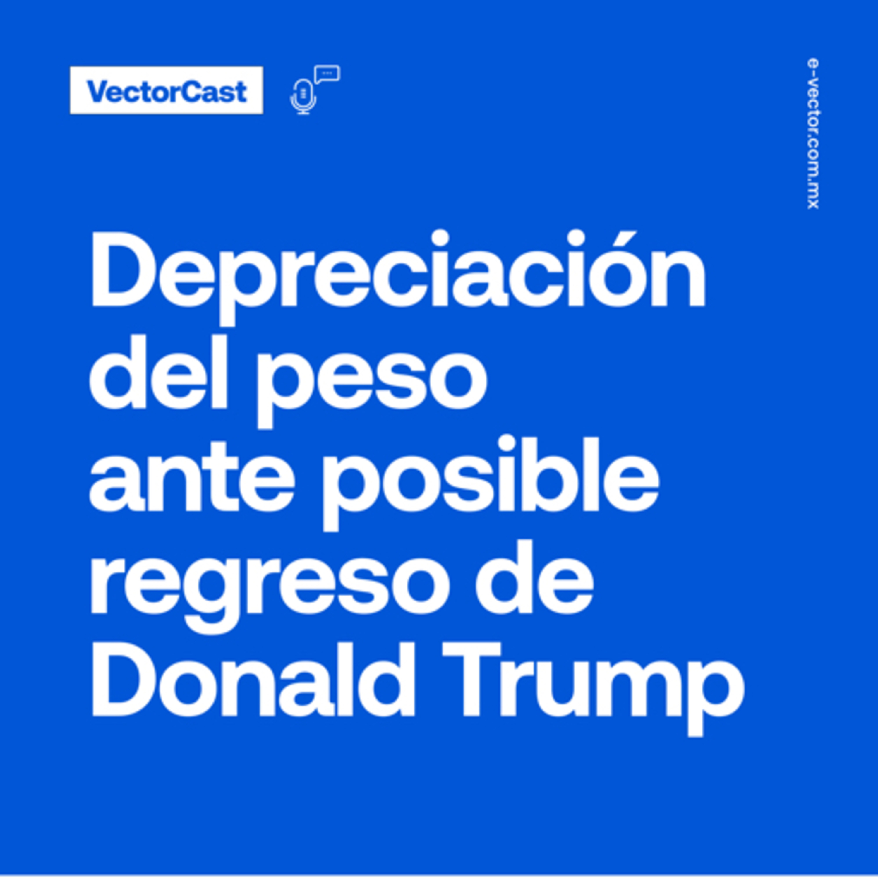 VectorCast