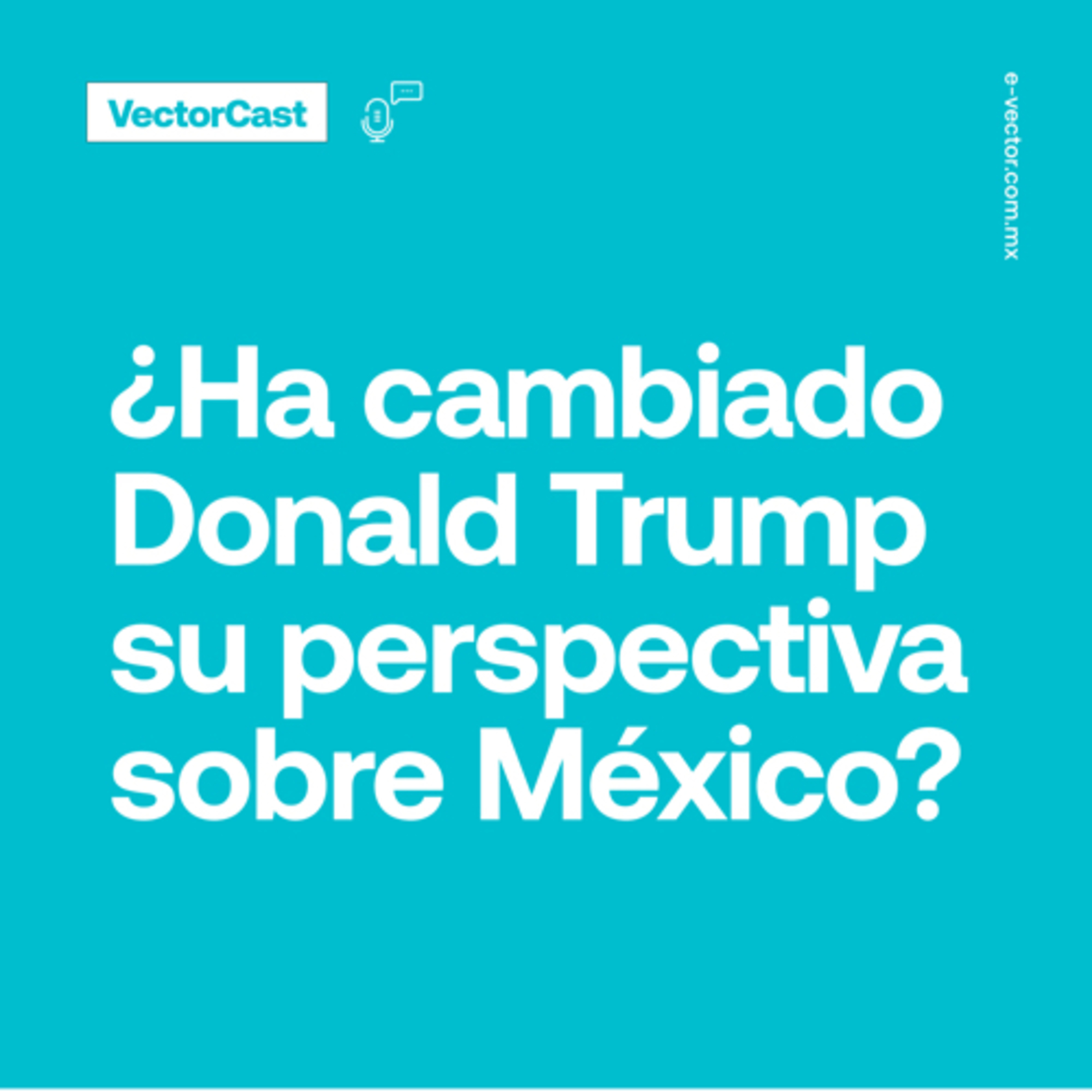 VectorCast