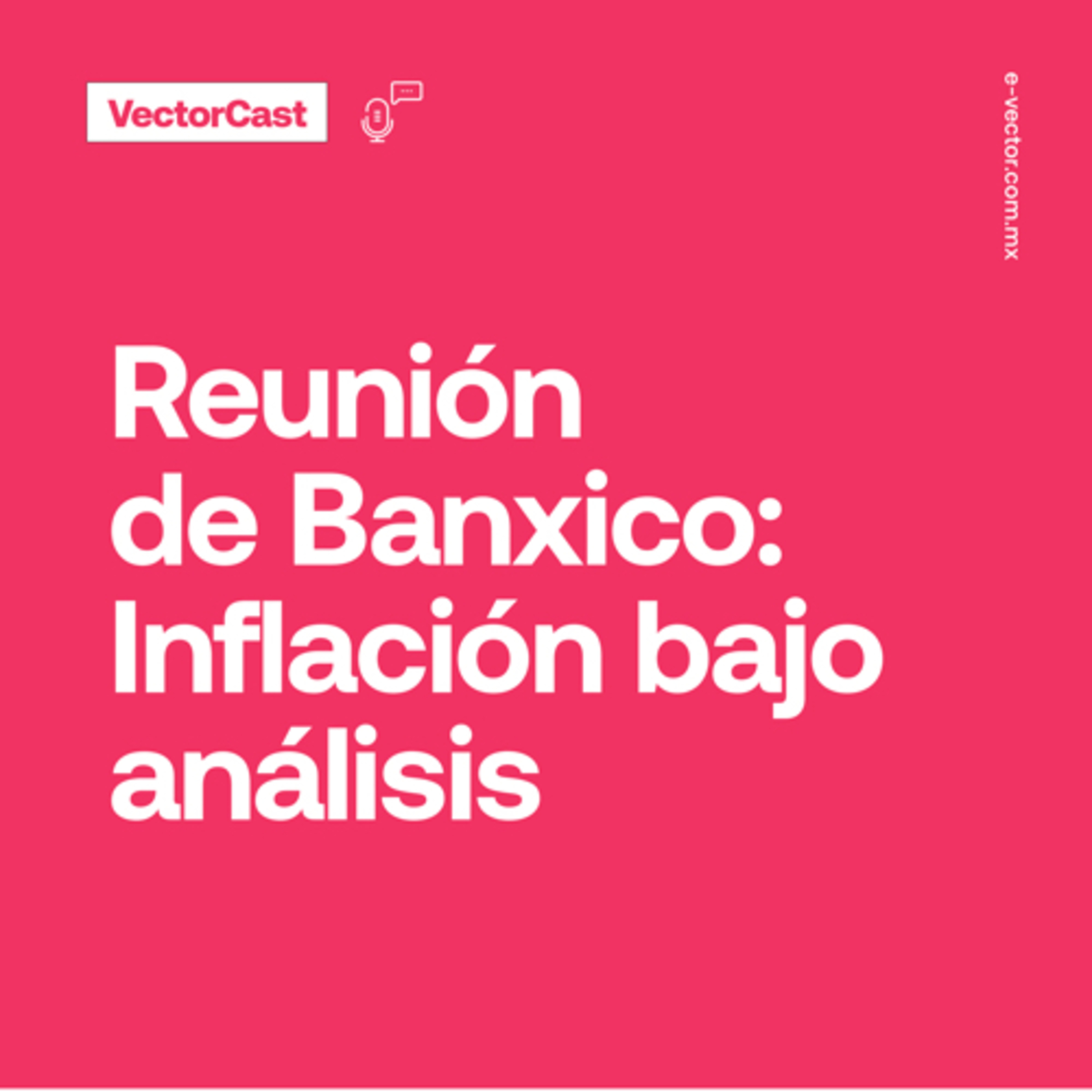 VectorCast