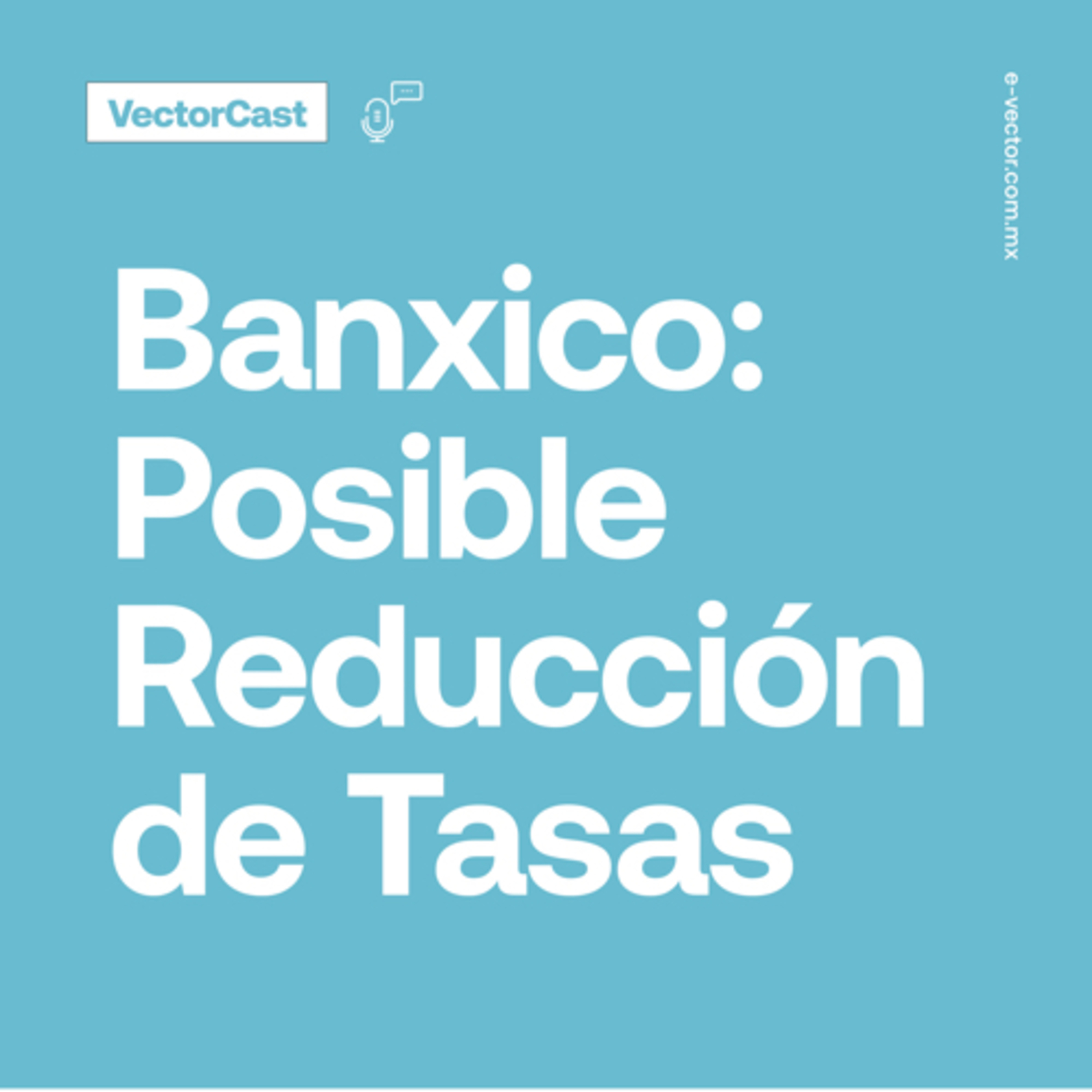 VectorCast