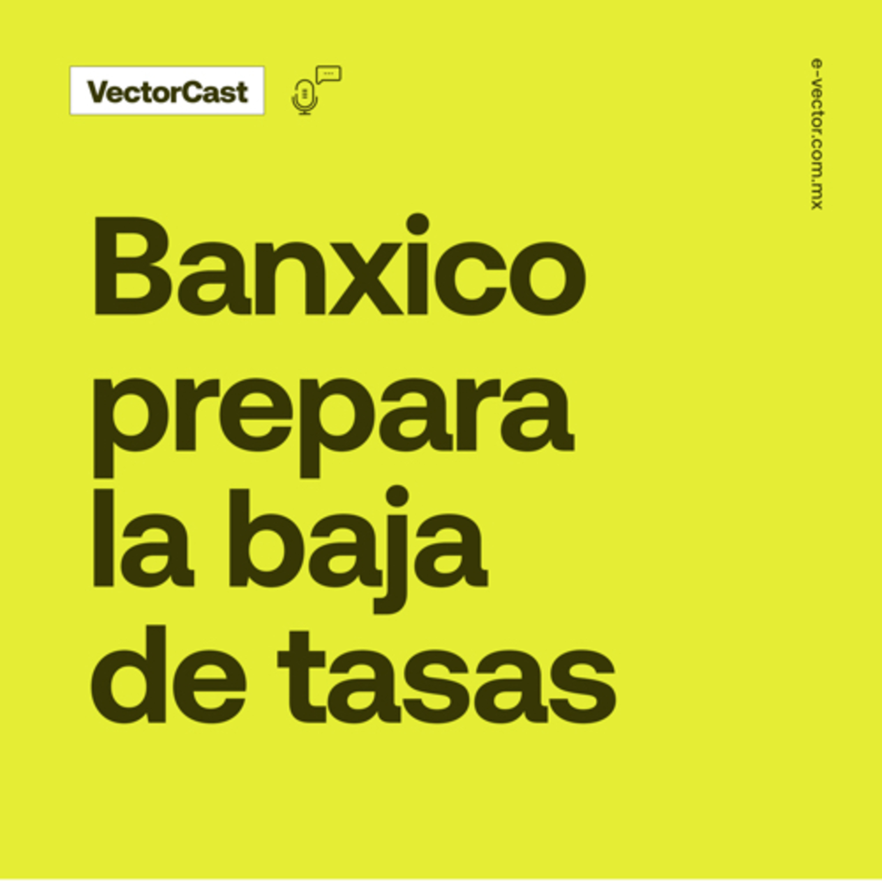 VectorCast