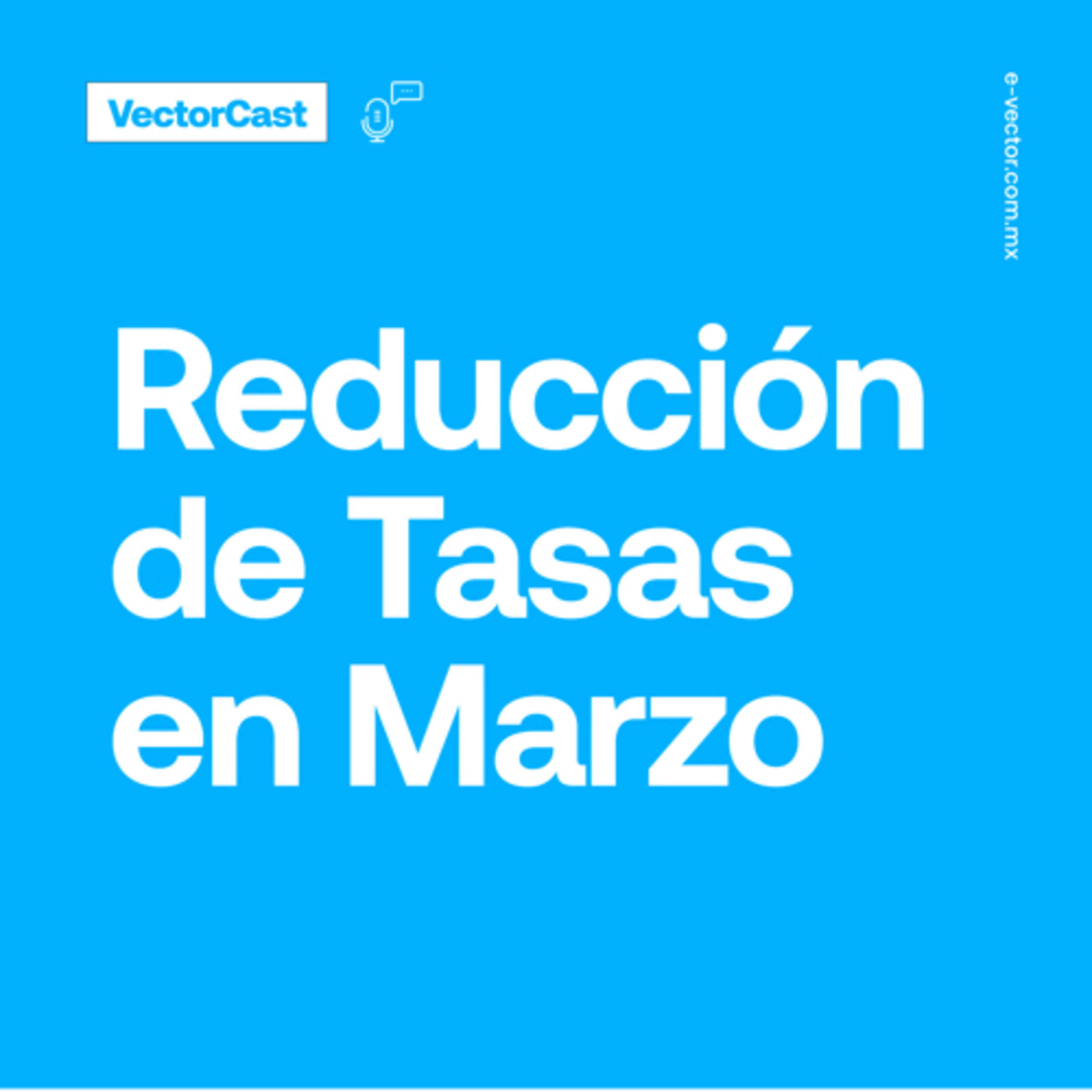VectorCast