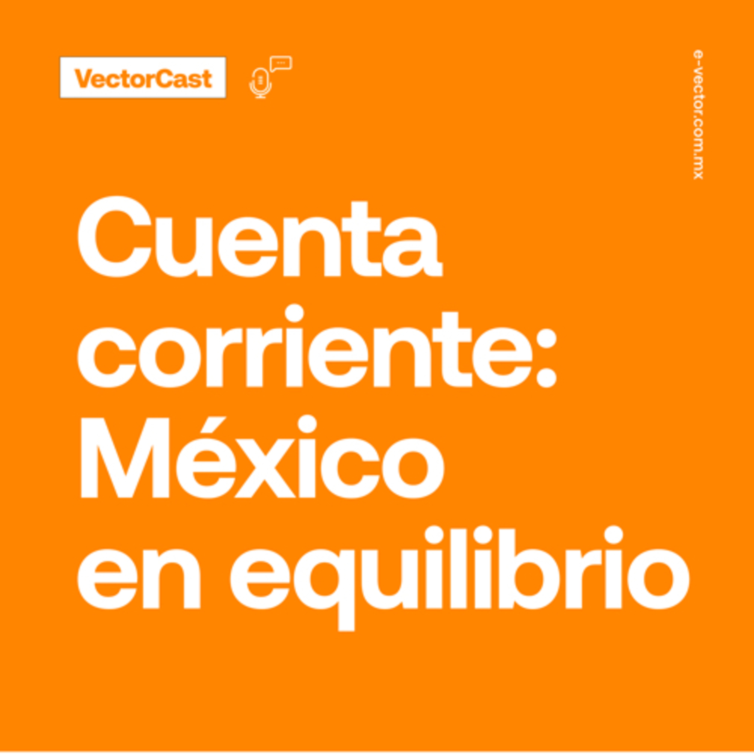 VectorCast