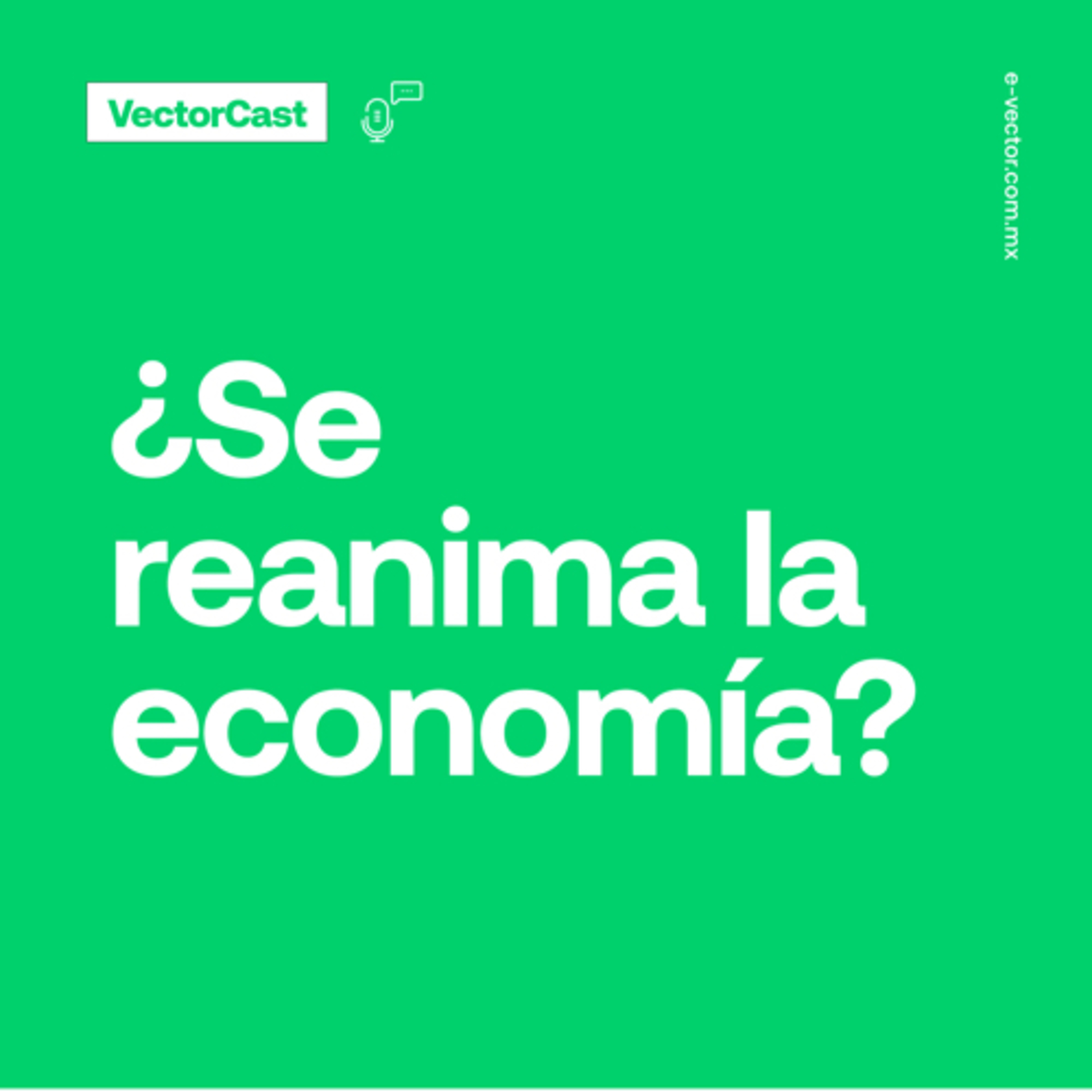 VectorCast
