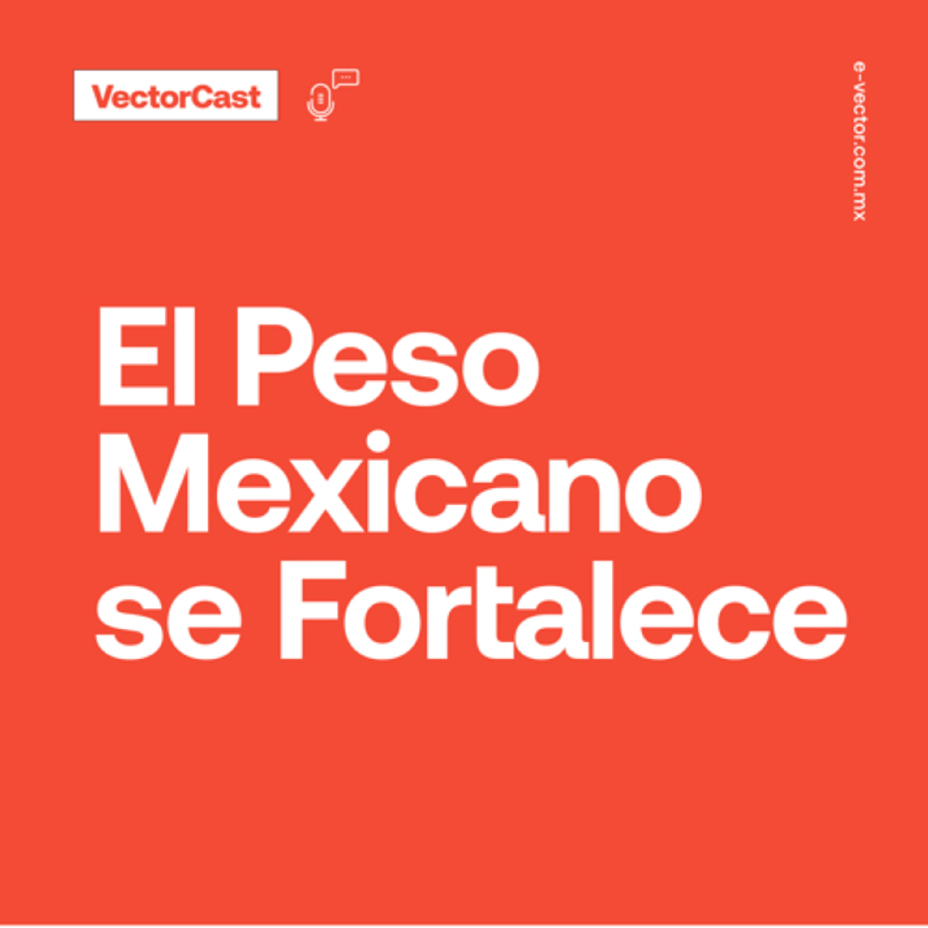 VectorCast