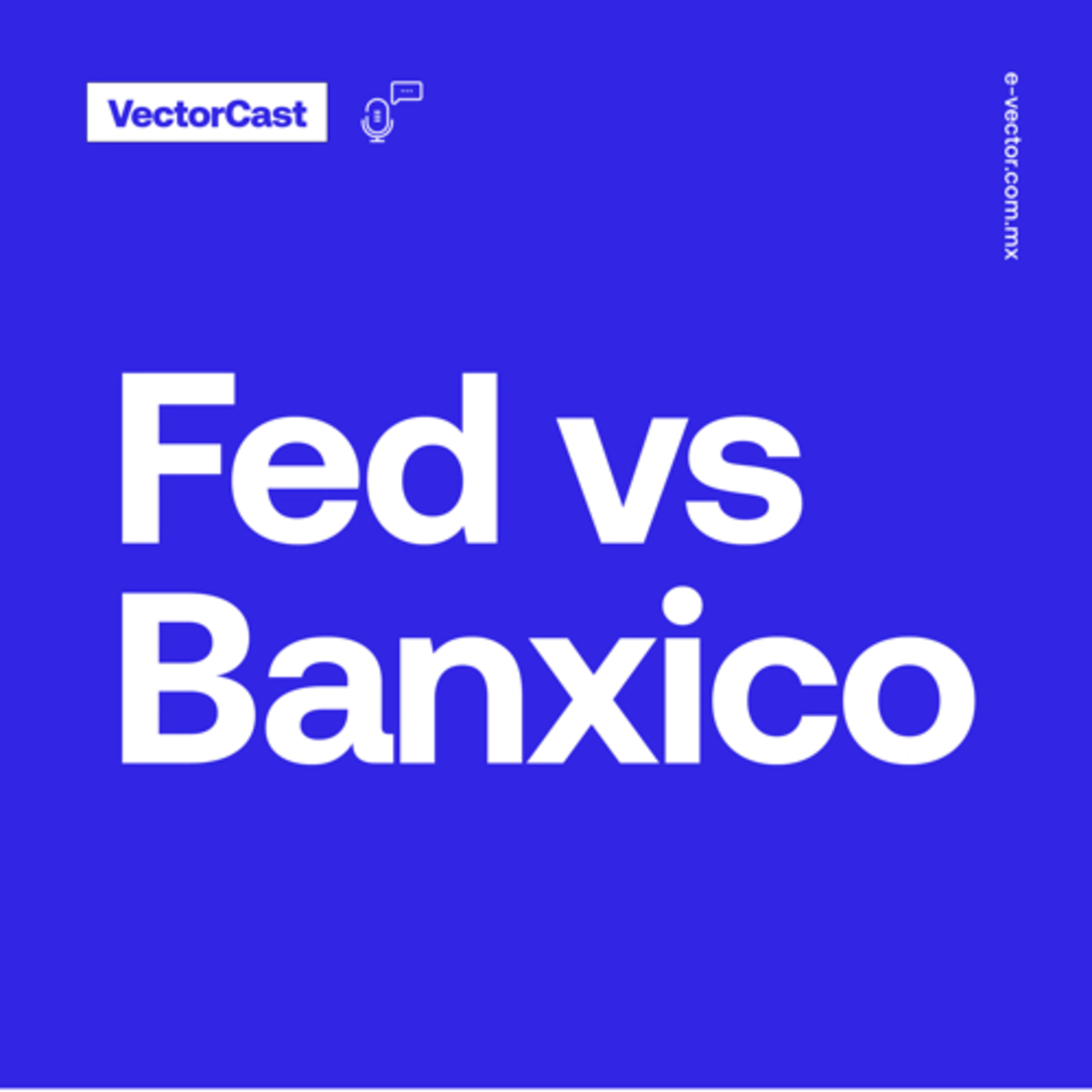 VectorCast