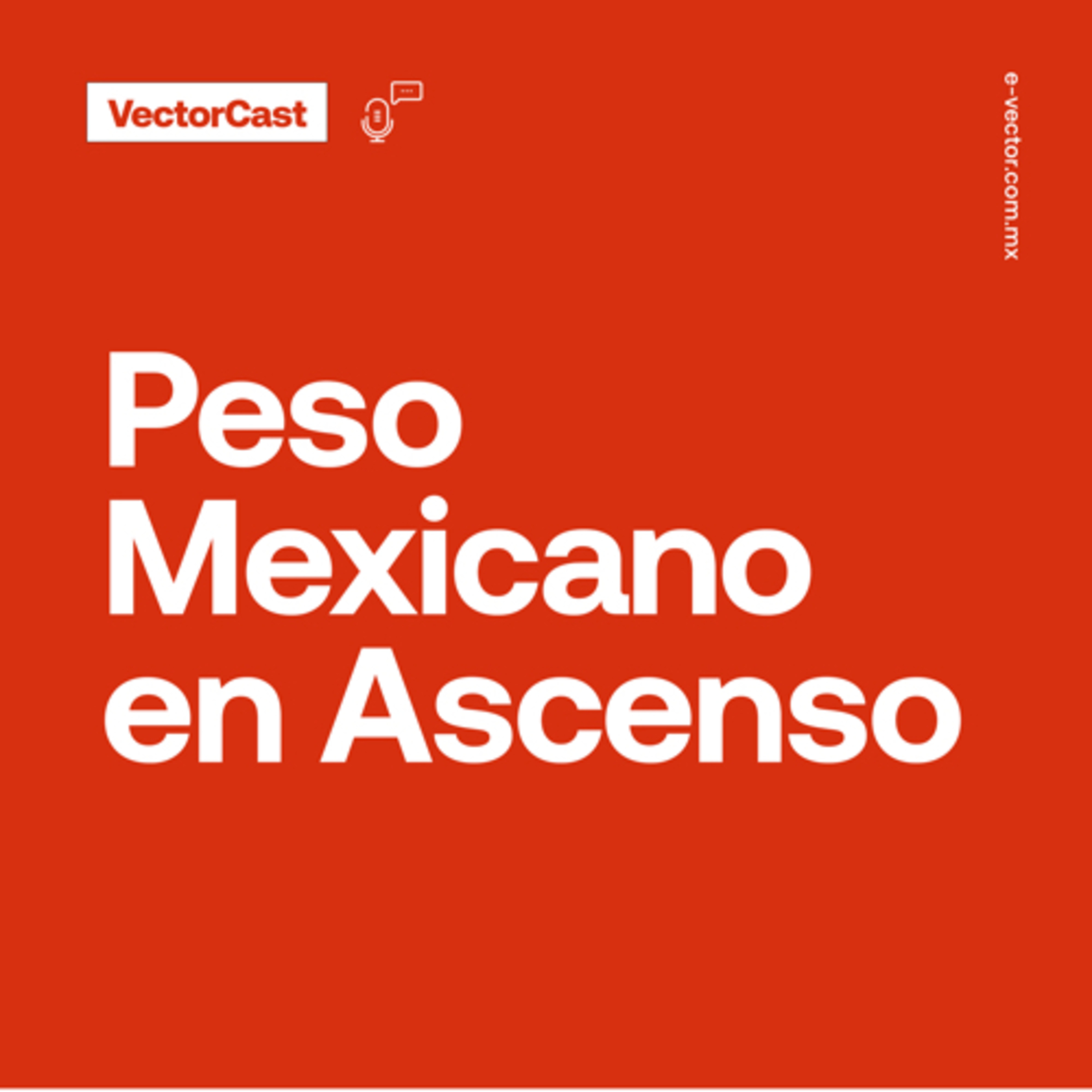 VectorCast