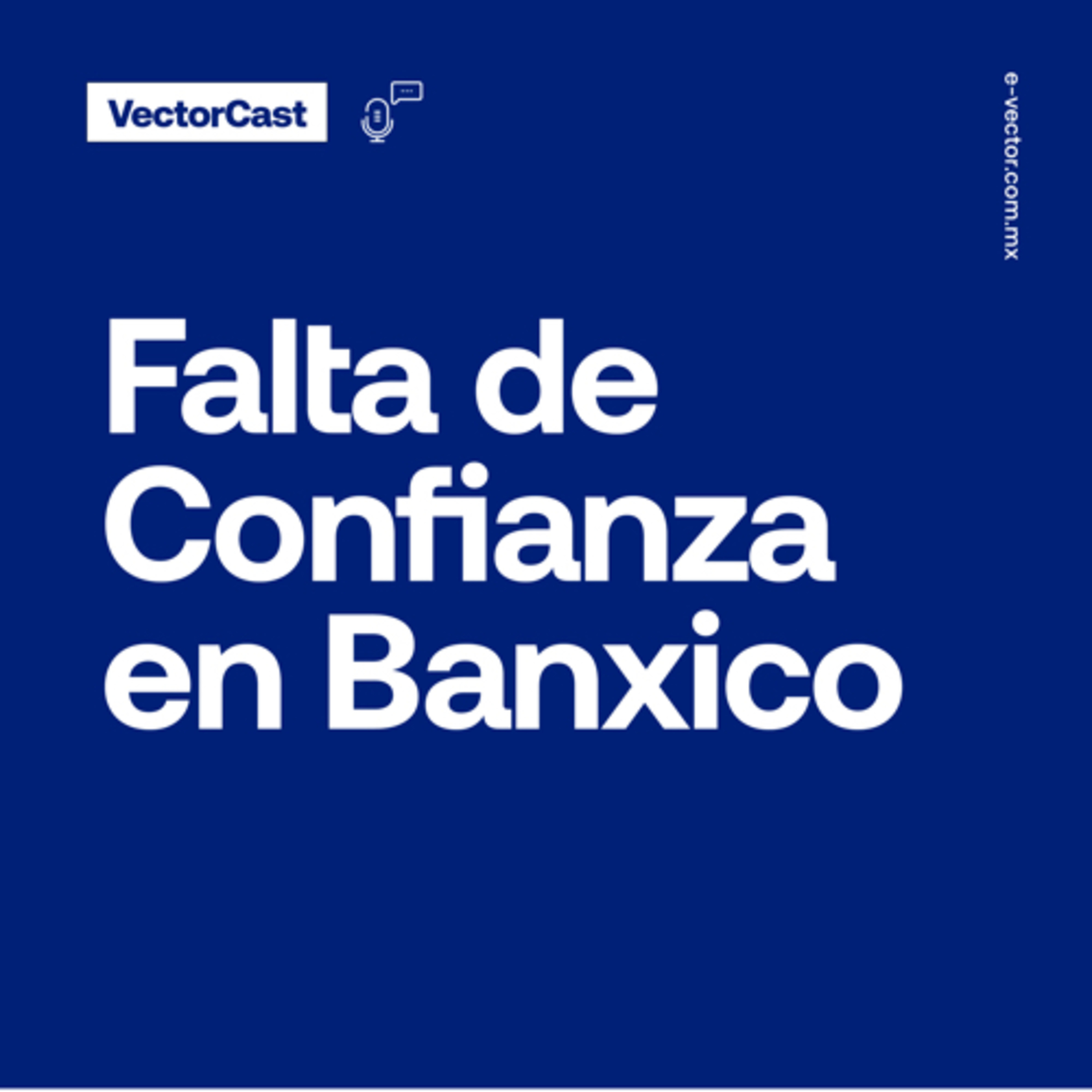 VectorCast