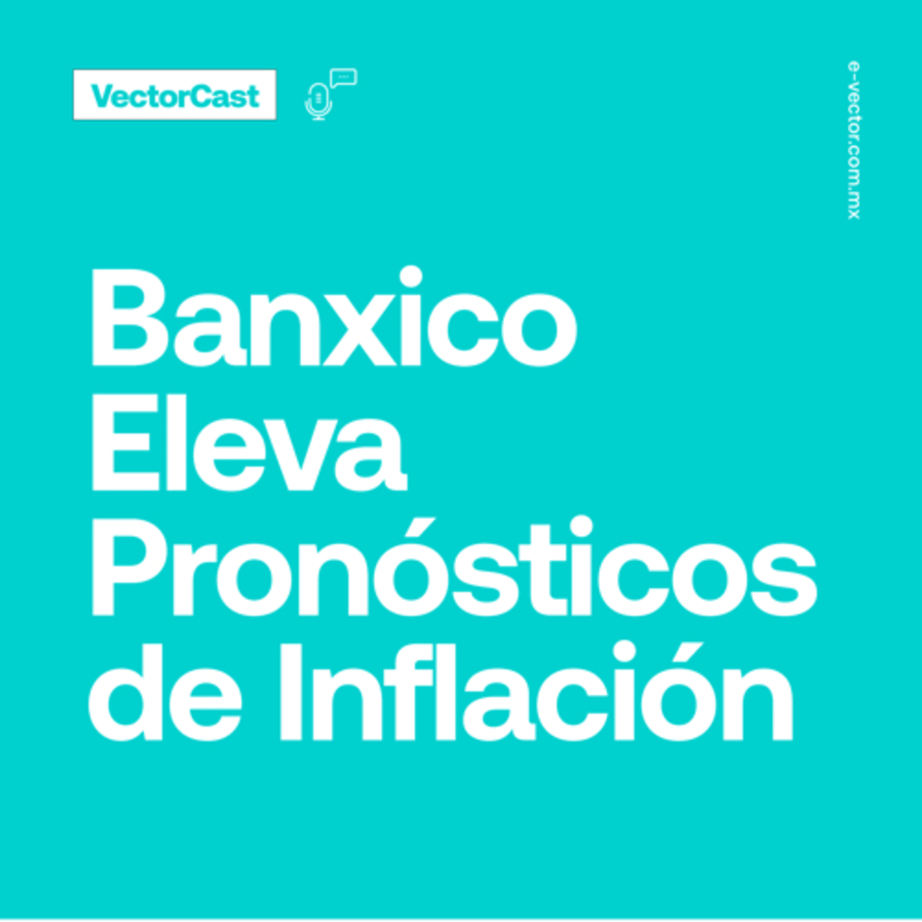 VectorCast