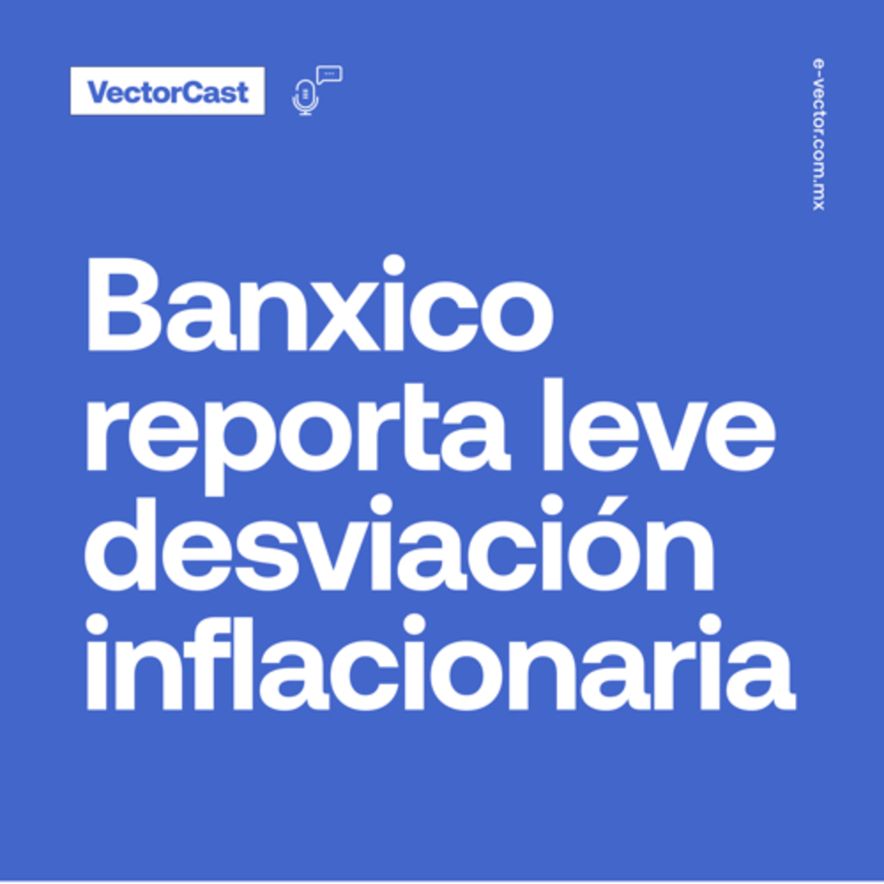 VectorCast