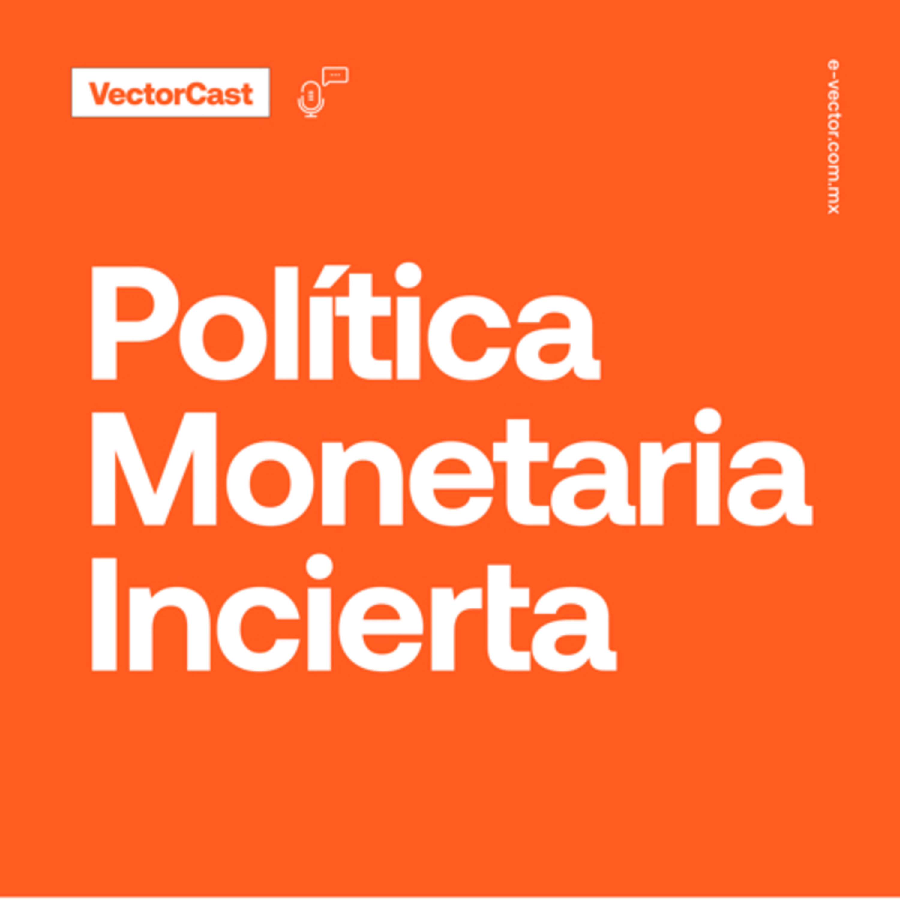 VectorCast