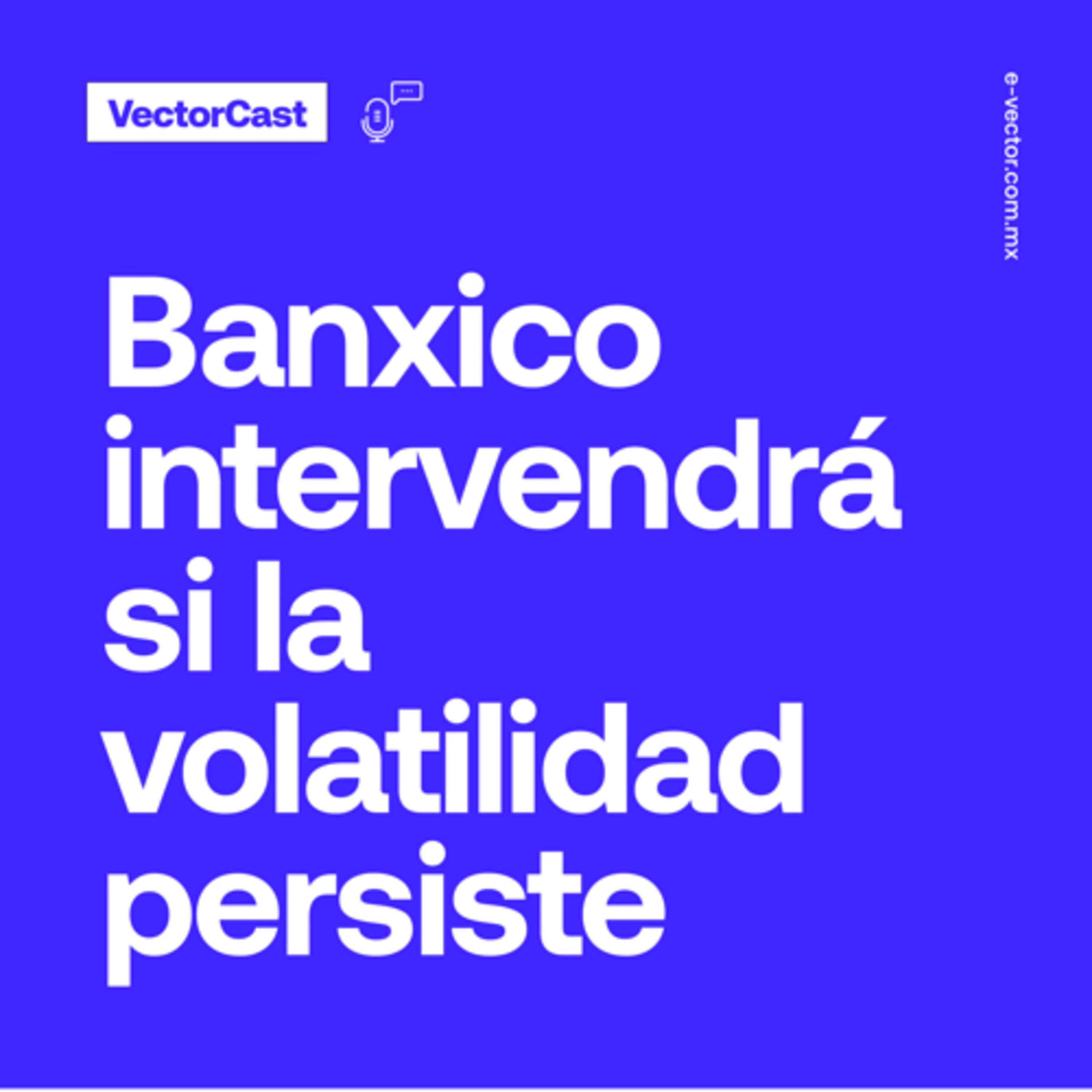 VectorCast