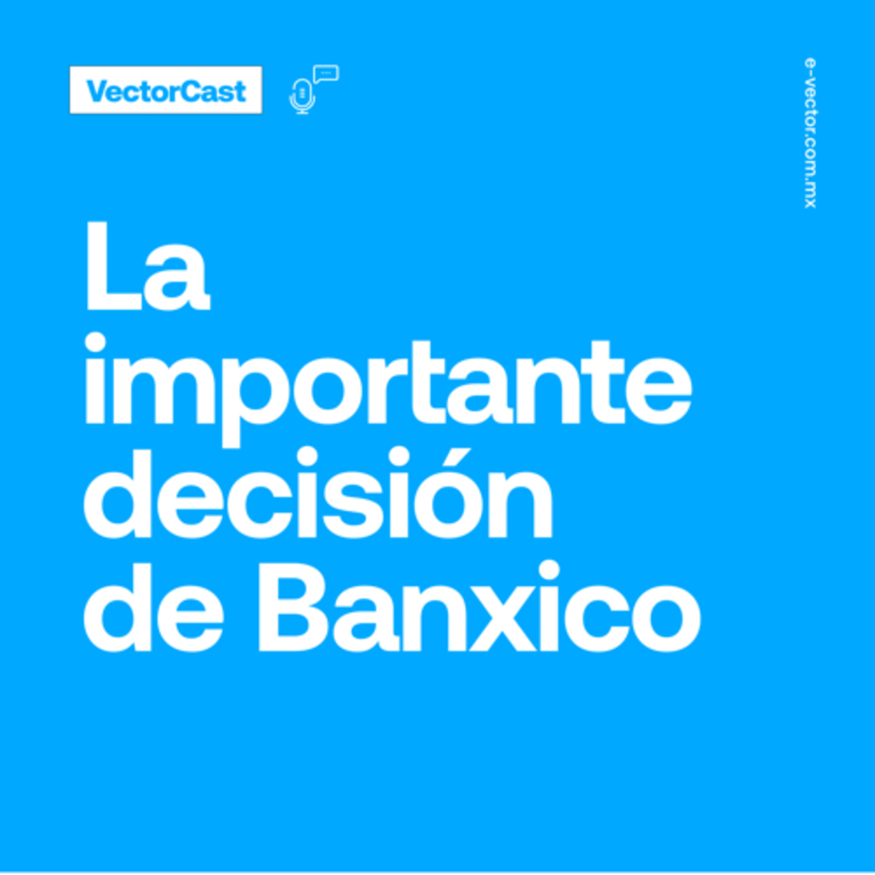 VectorCast