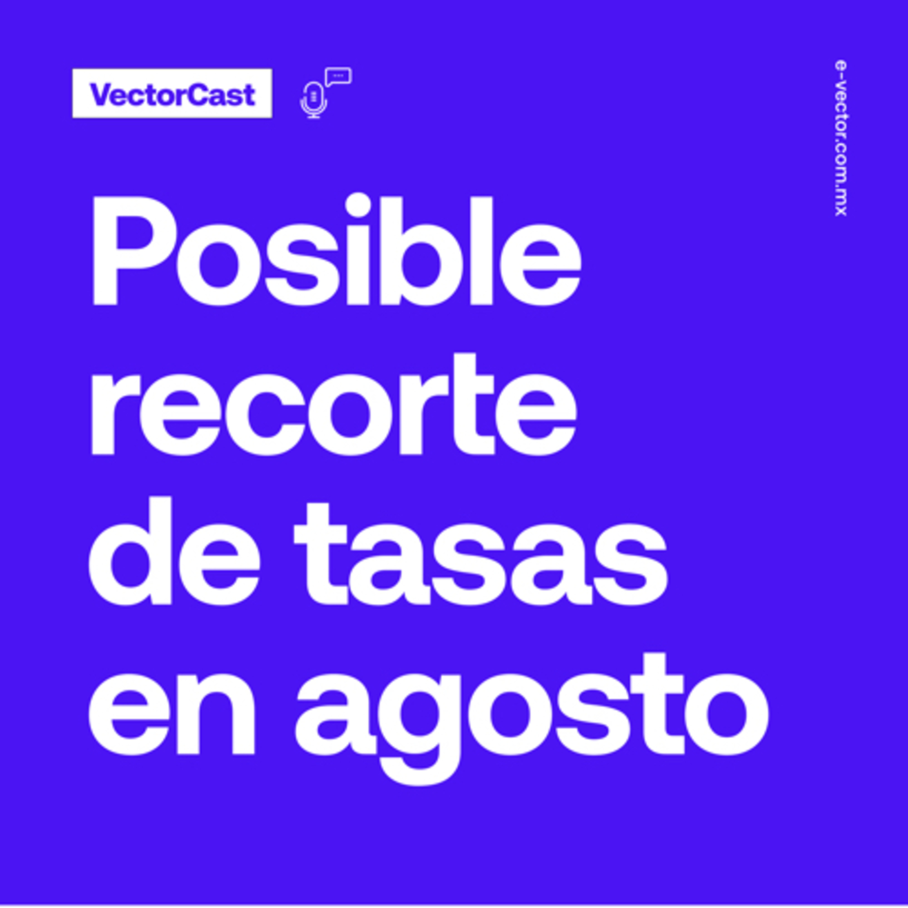 VectorCast