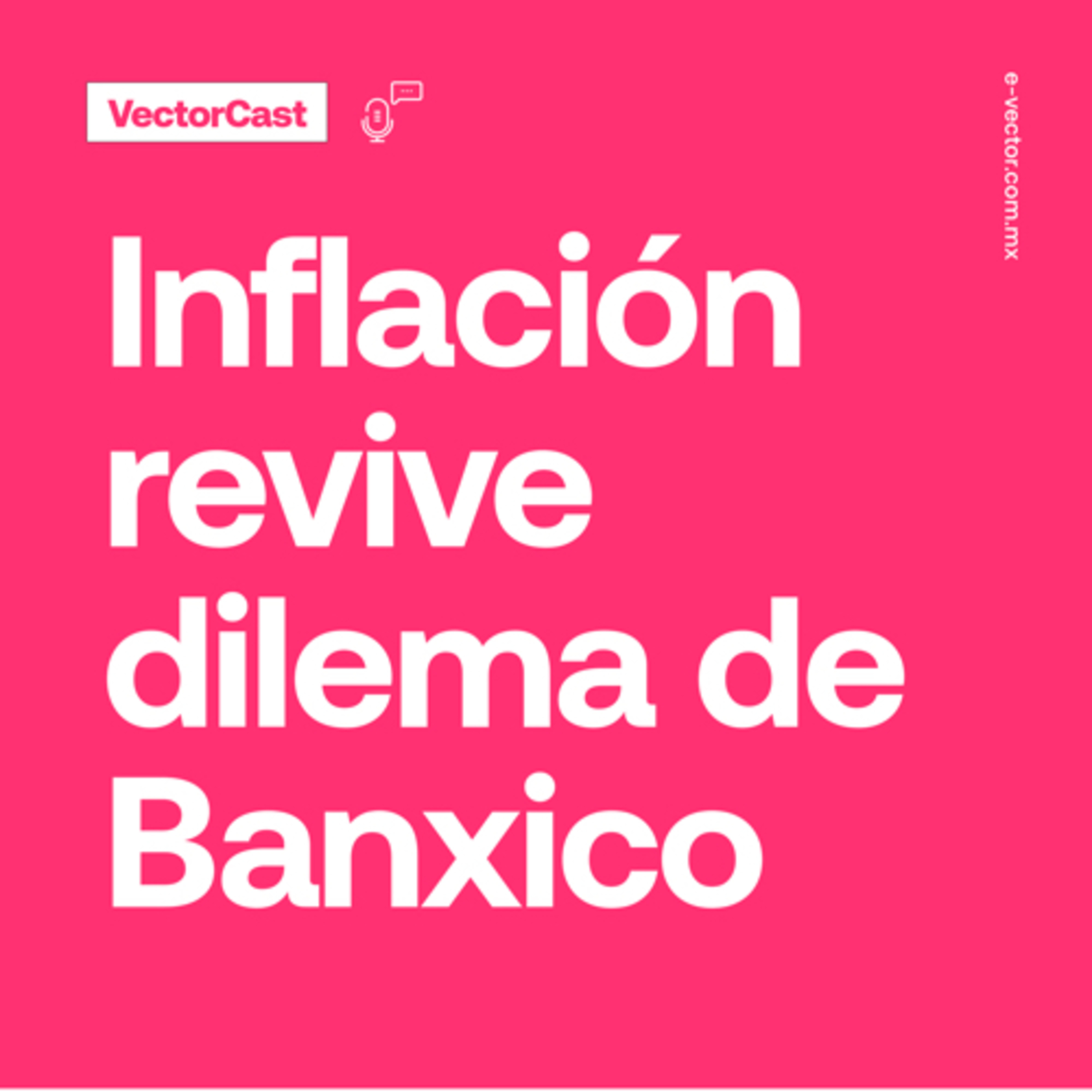 VectorCast