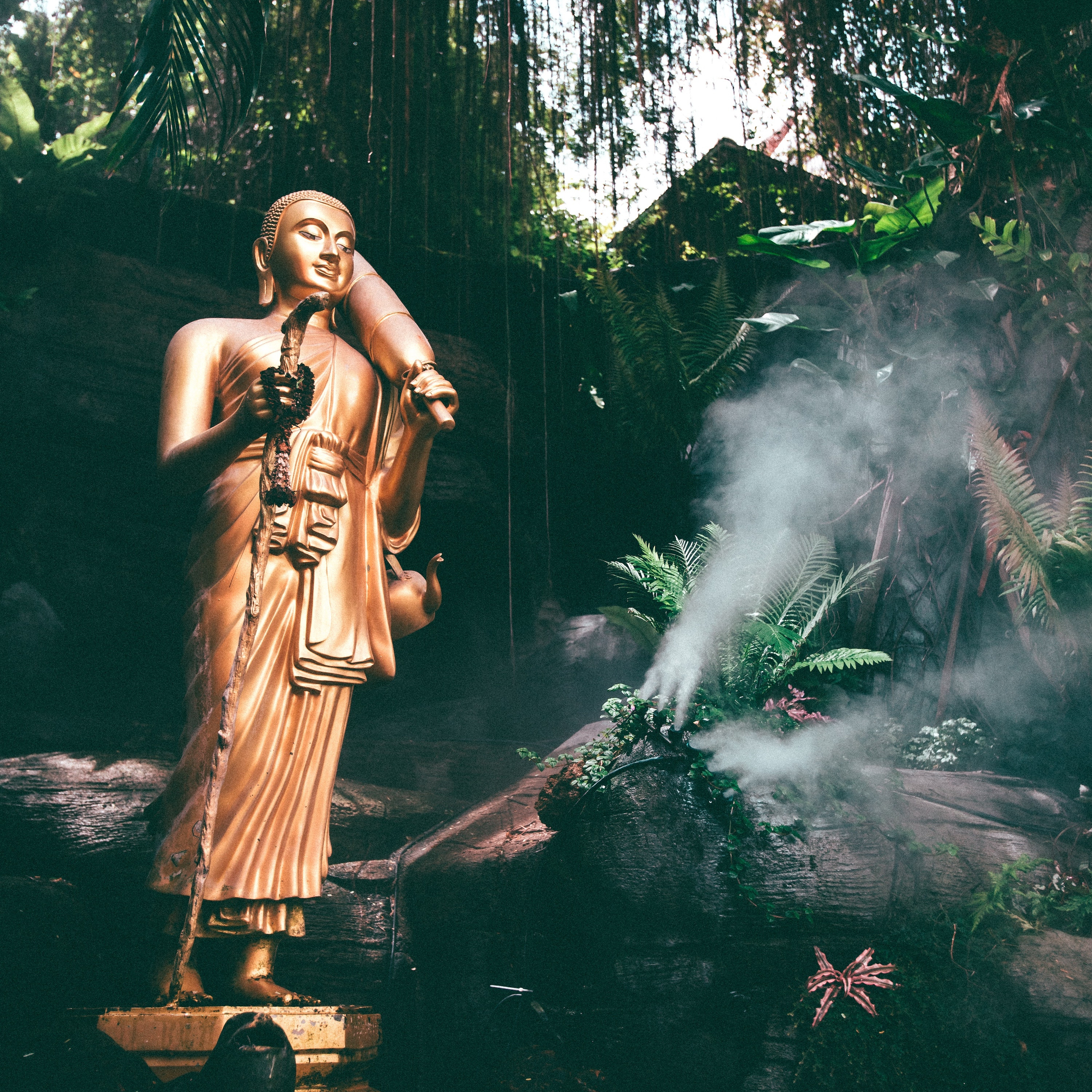 Siddhartha: Falling into the Shadow, Kissed by the Light episode artwork