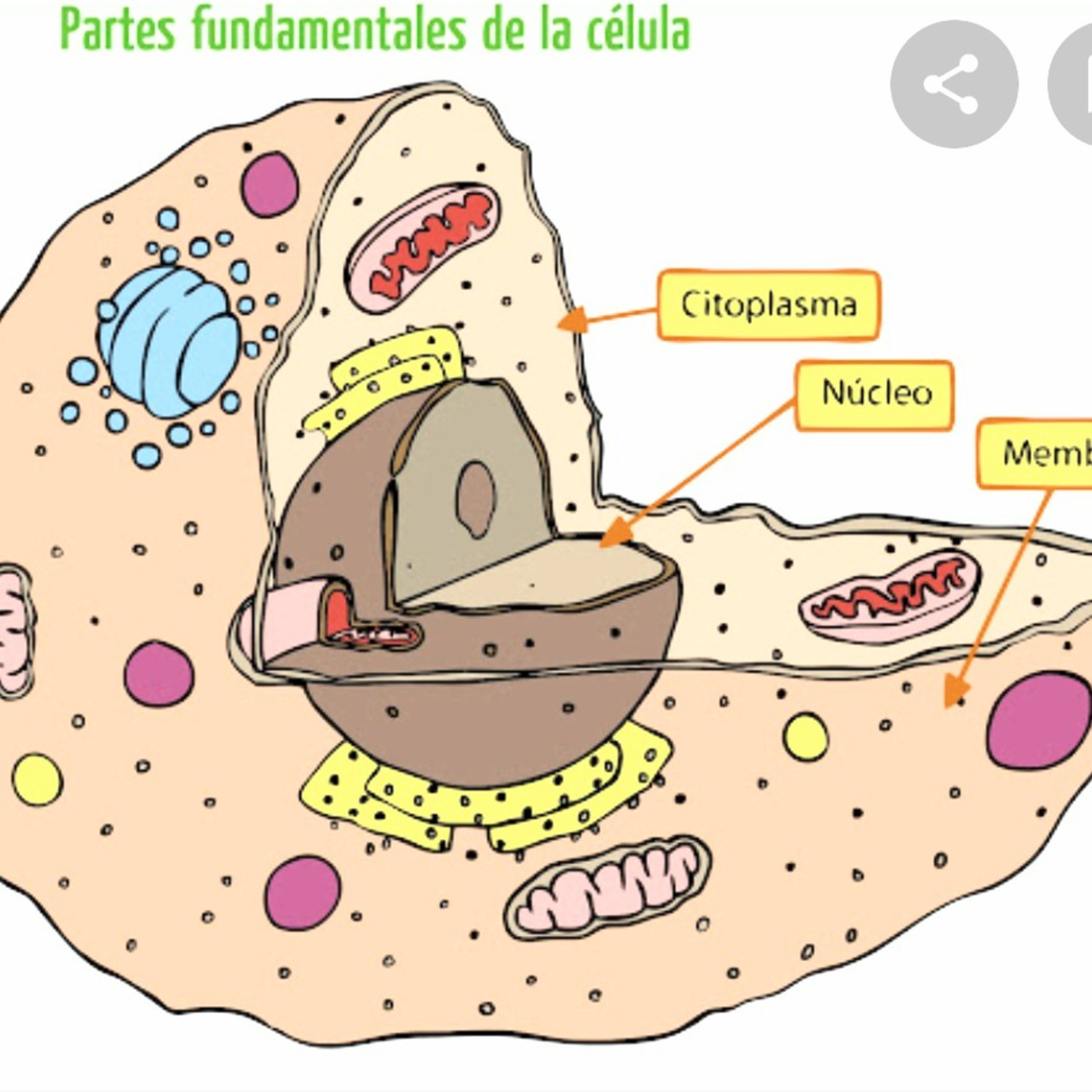 La célula parte 3 episode artwork