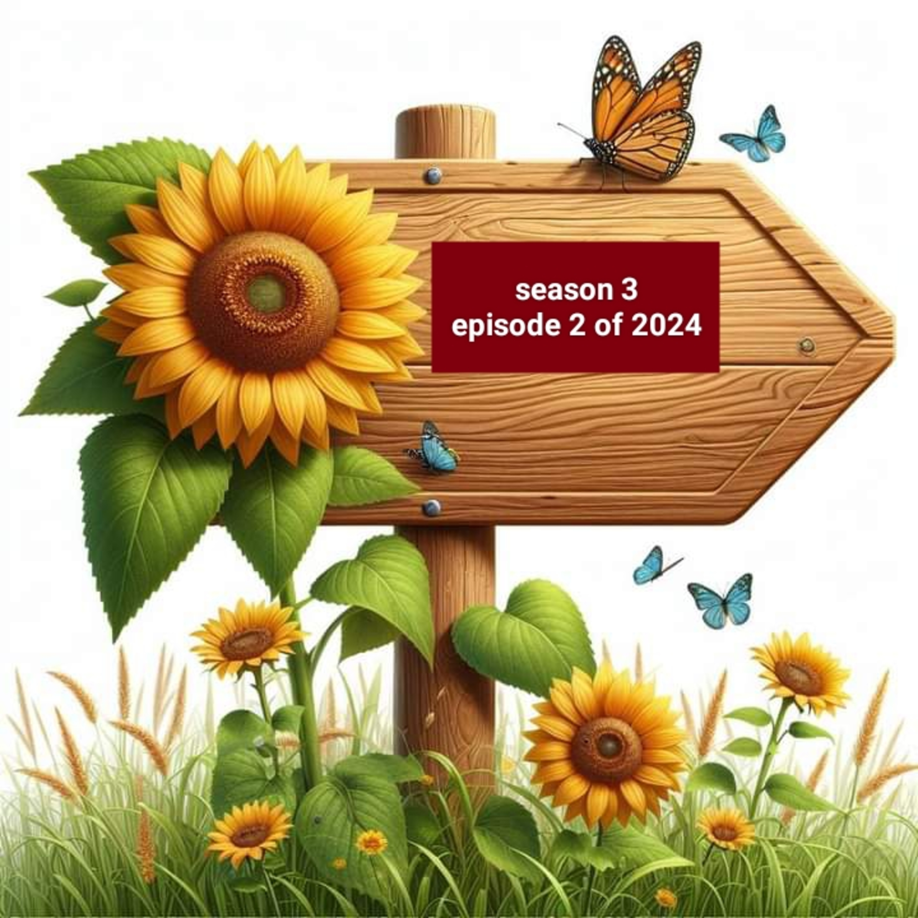 Finding Gratitude in Every Moment  episode artwork