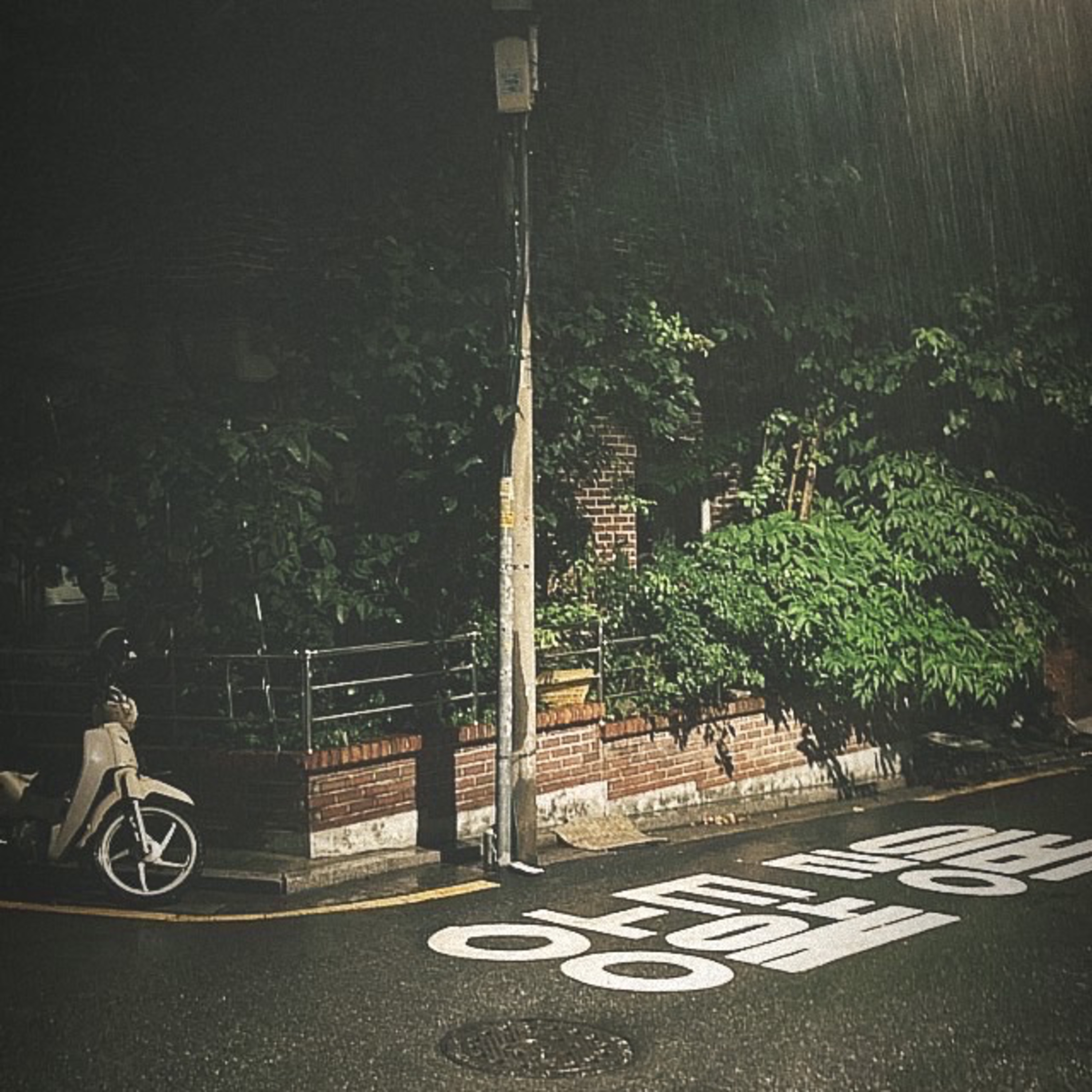 韓国で100年ぶりの豪雨、俺たちは雨男。 episode artwork