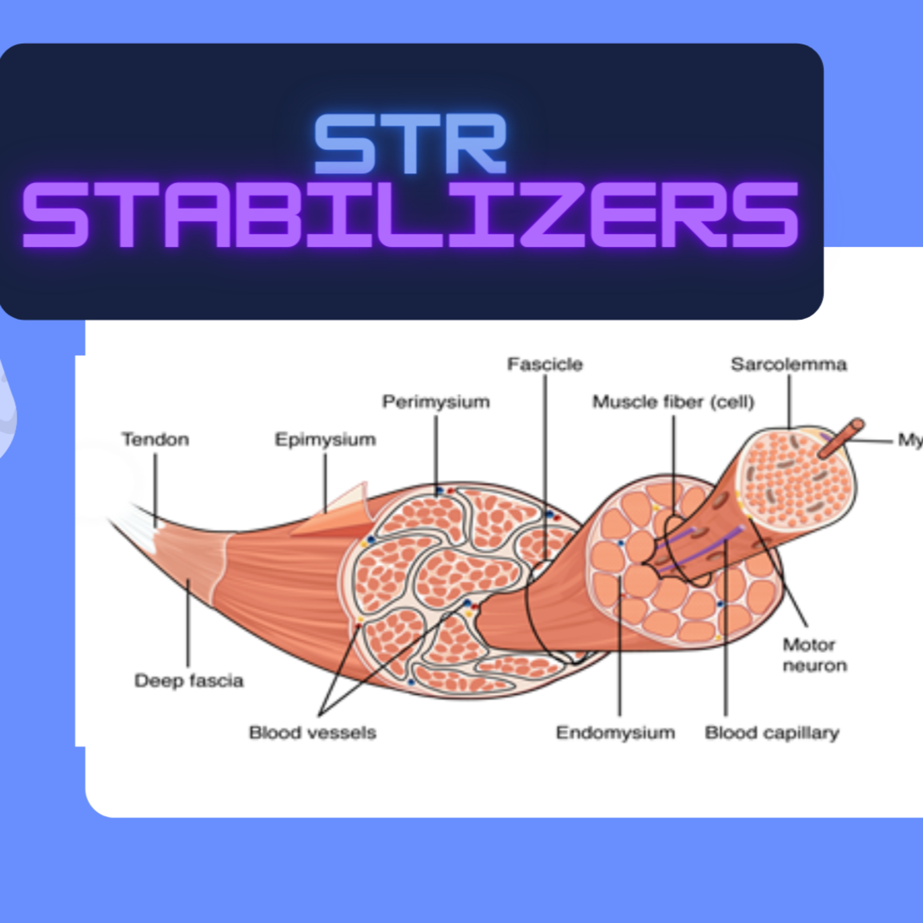 Sonographers Spill The Tea