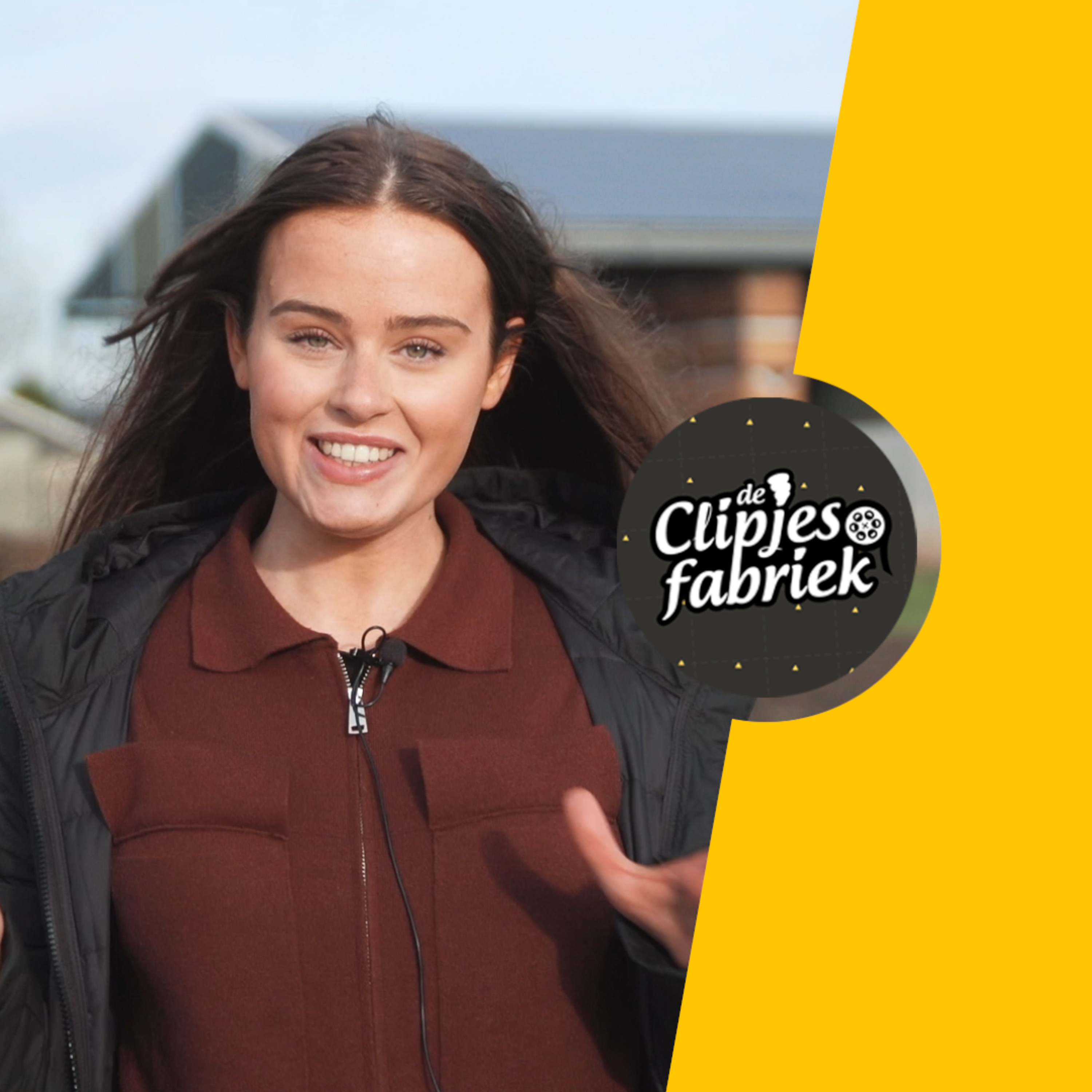 HET LEERMOMENT, de Clipjesfabriek podcast