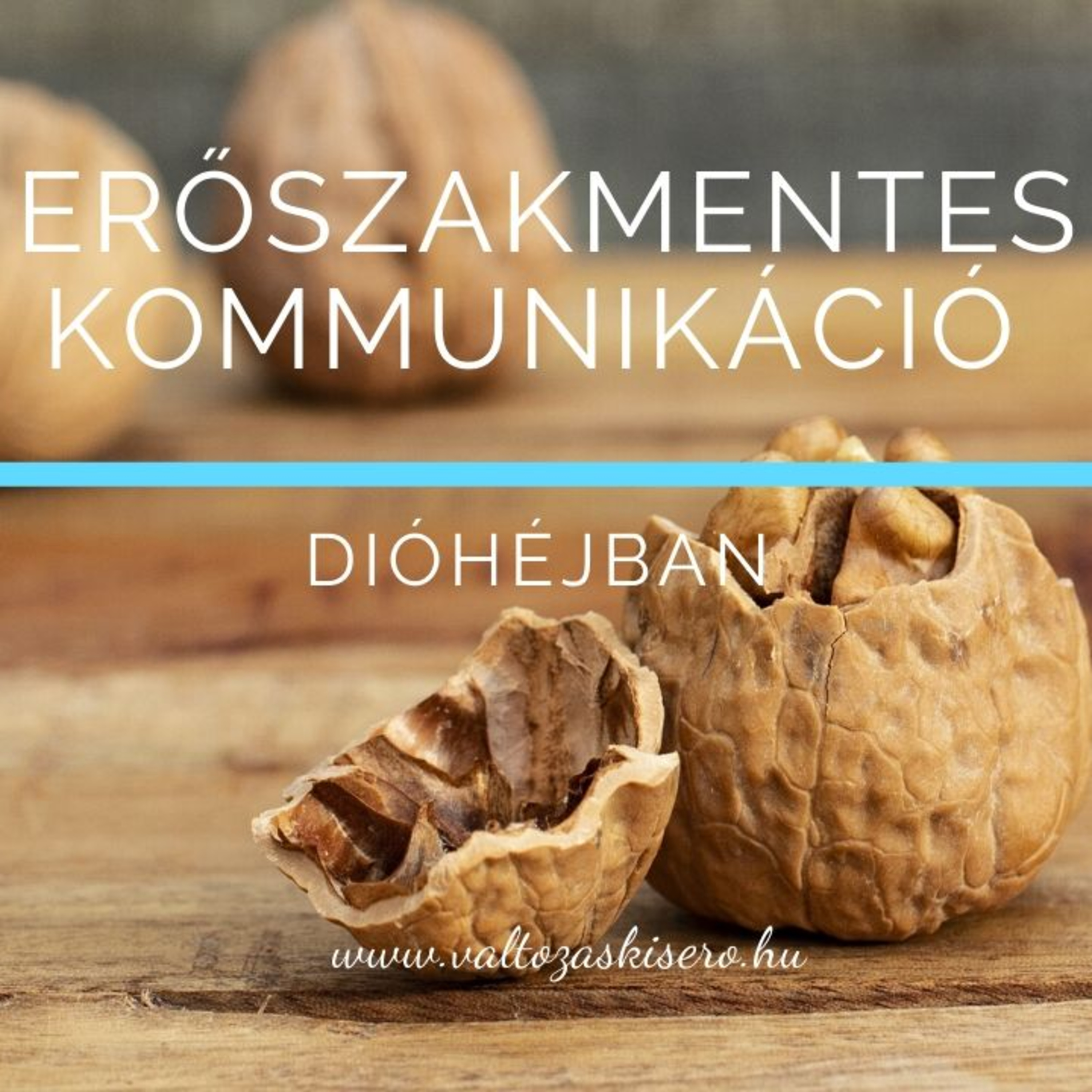 Erőszakmentes kommunikáció dióhéjban episode artwork