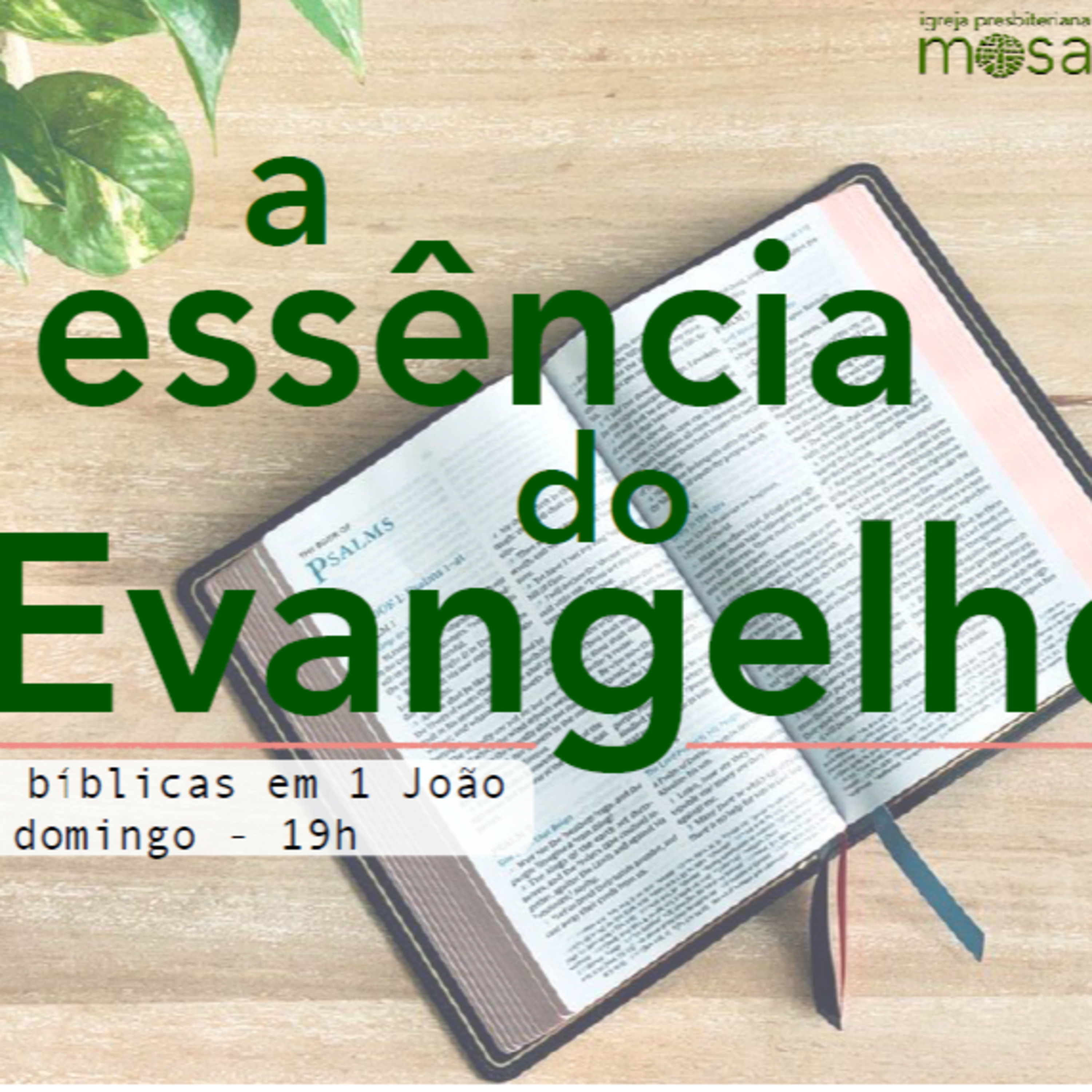 Série A Essência do Evangelho - Parte 20 episode artwork