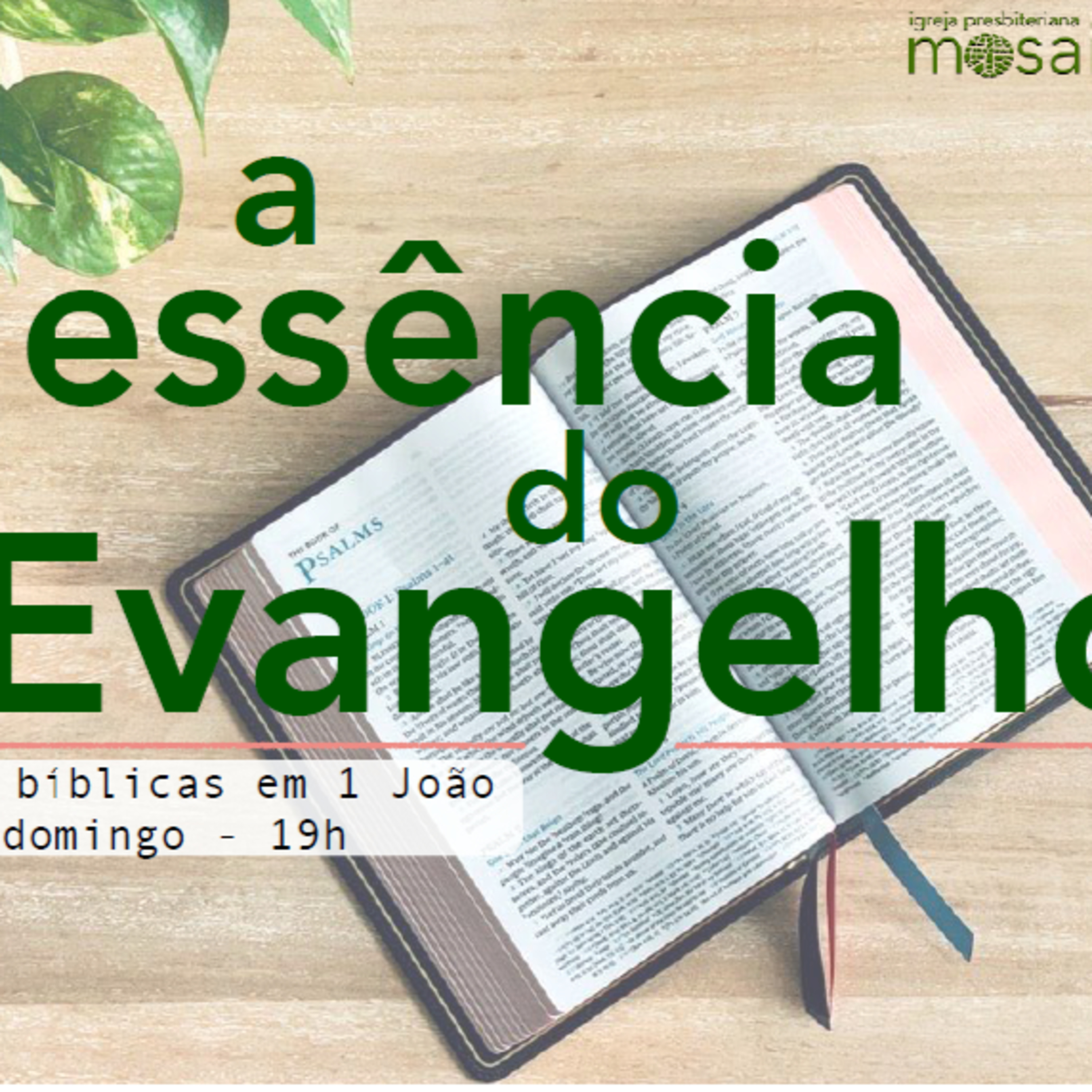Série A Essência do Evangelho - Parte 21 episode artwork