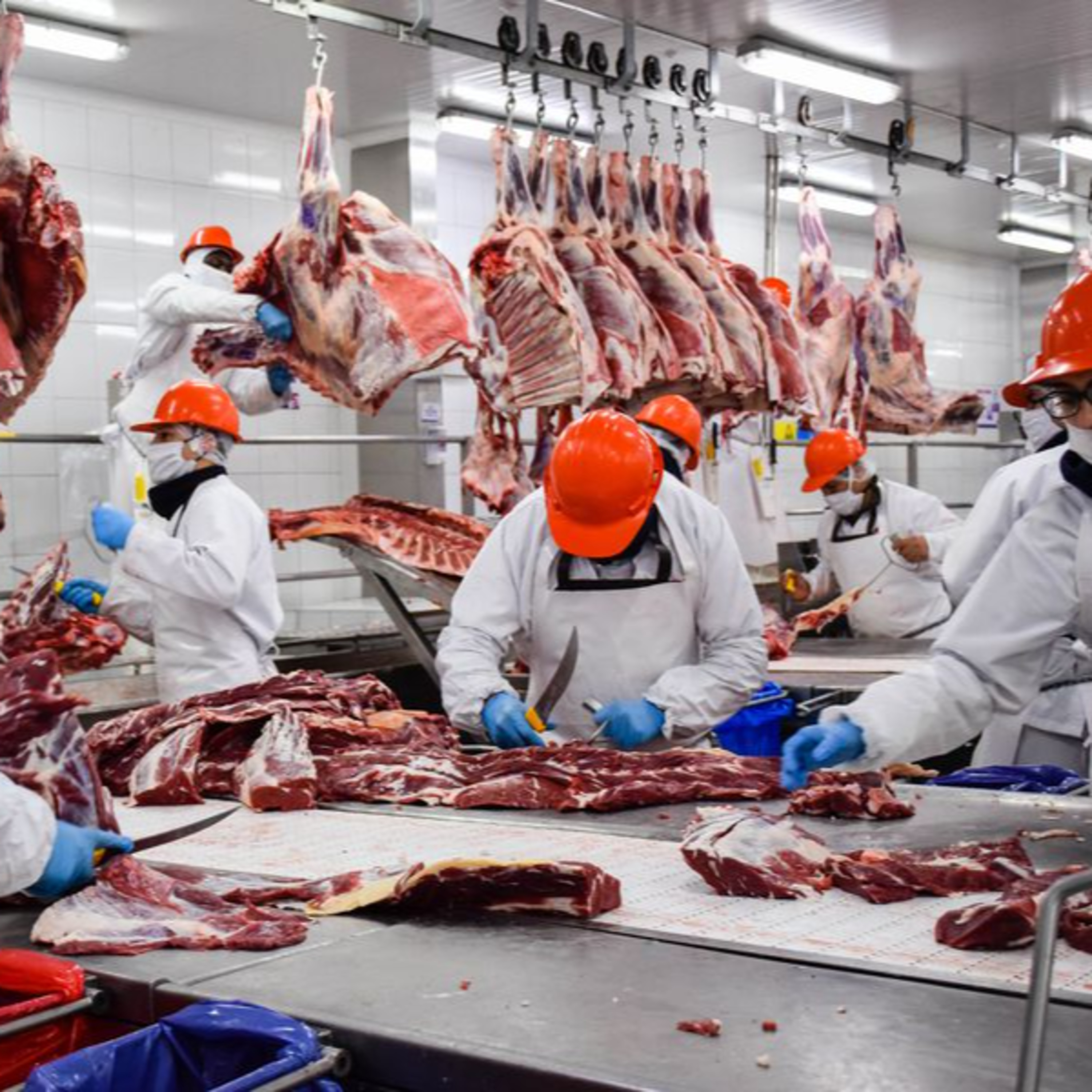 ECONOMÍA | ¿Qué pasa con la carne? Implicancias de la medida tomada por el gobierno - Nadia Schuffer episode artwork