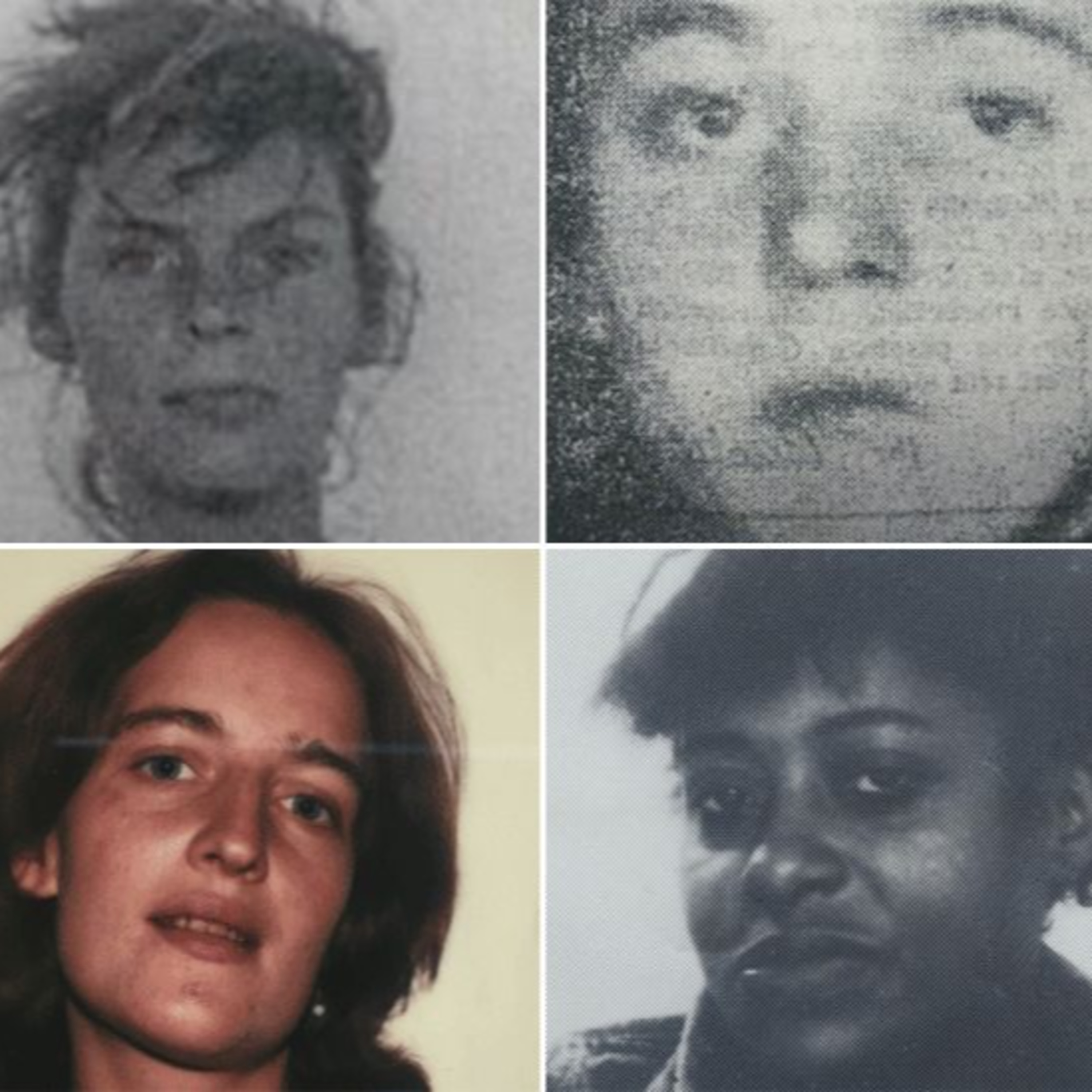 True Crime: Meçhule Giden Gemi