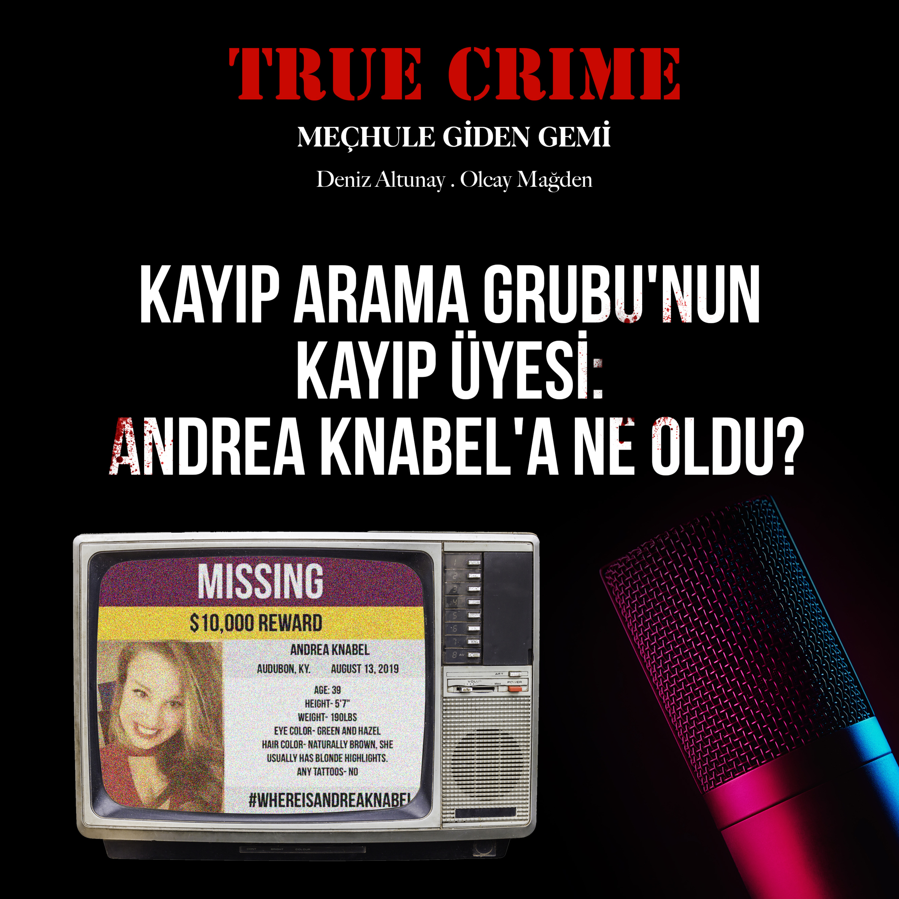 True Crime: Meçhule Giden Gemi