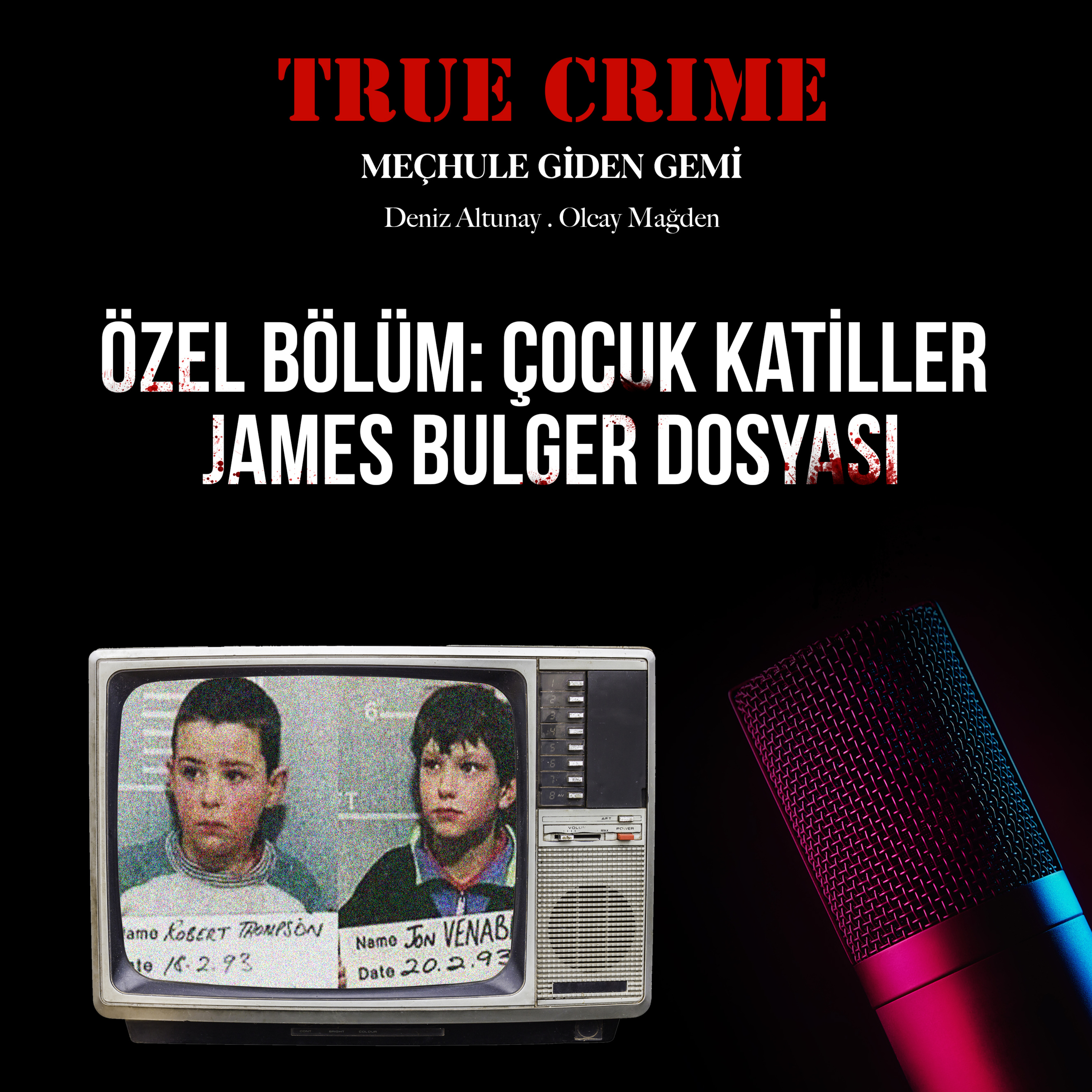 True Crime: Meçhule Giden Gemi