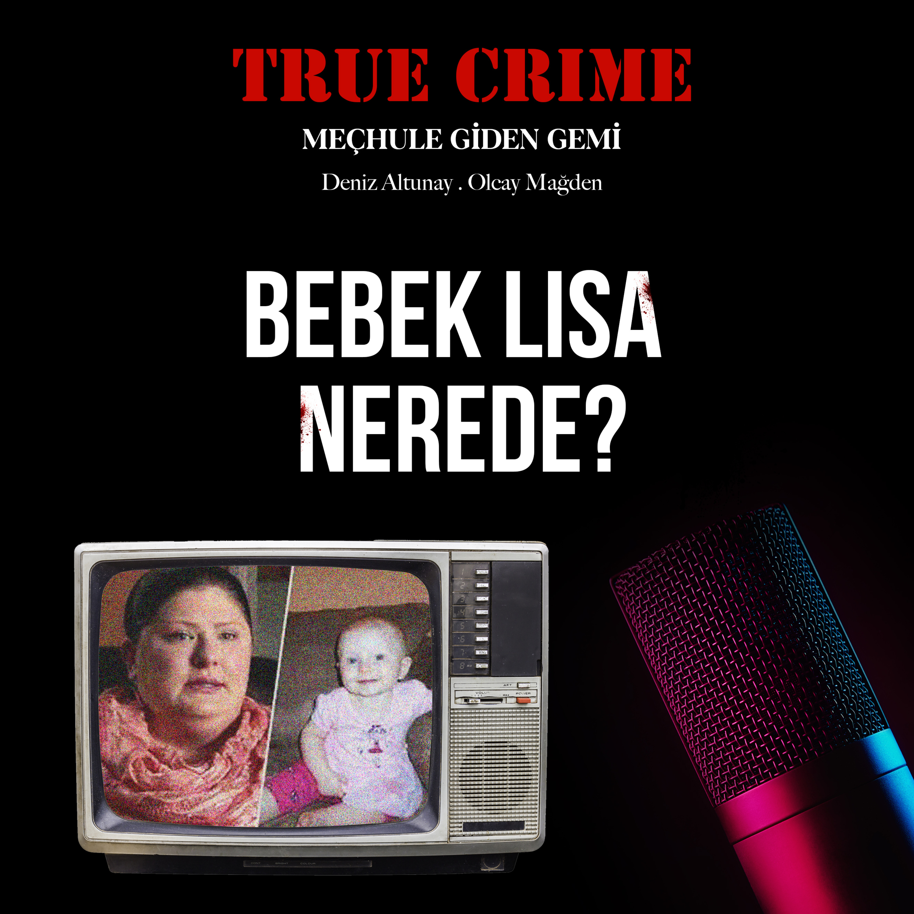 True Crime: Meçhule Giden Gemi