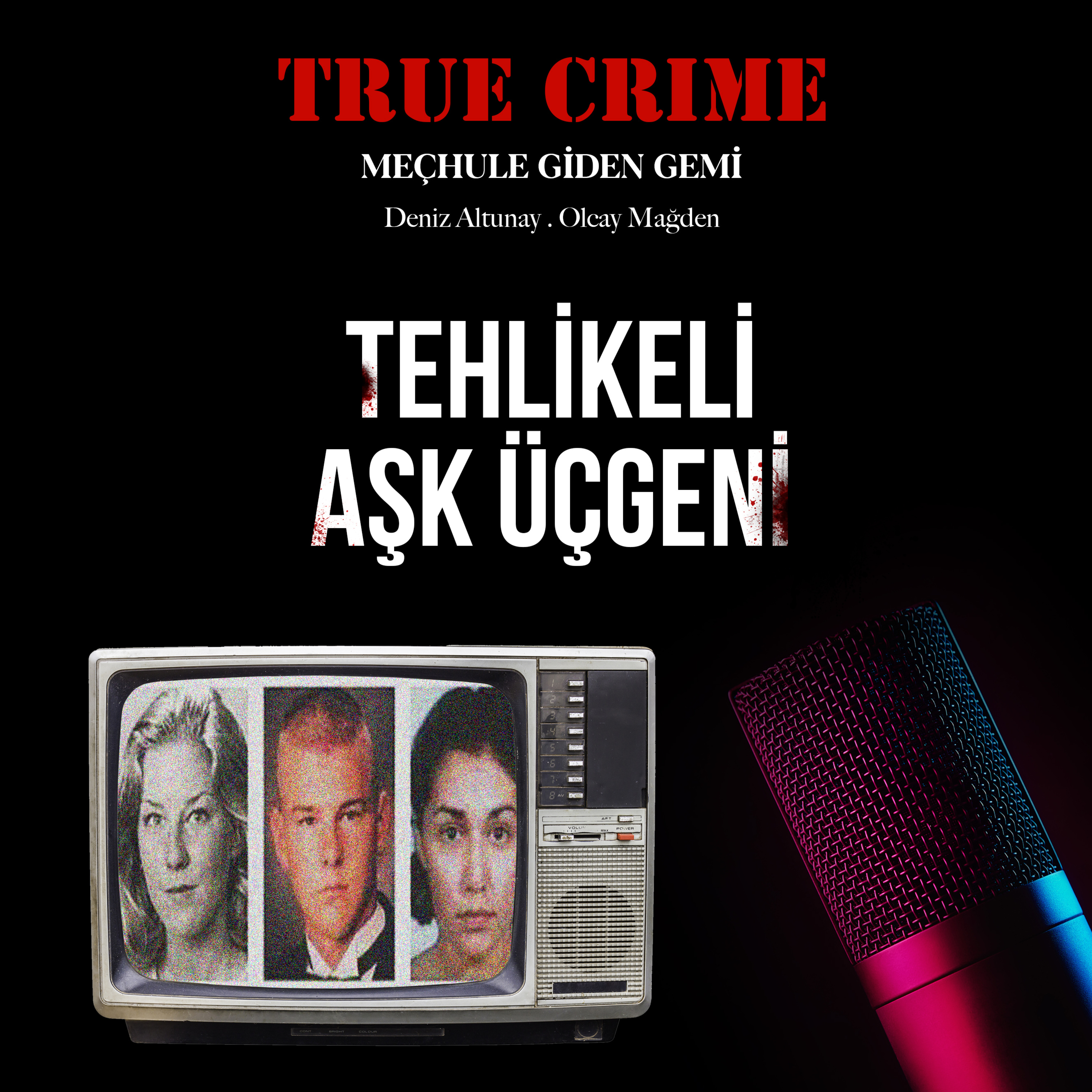 True Crime: Meçhule Giden Gemi